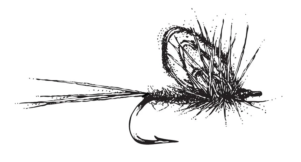 Jason Borger — The Floating Fly