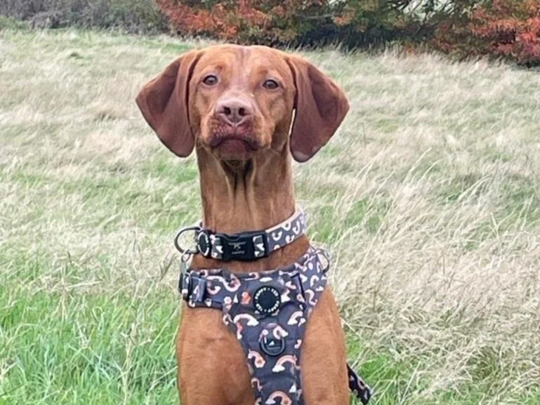 WhatsApp Image 2025-04-30 at 21.39.41.jpg