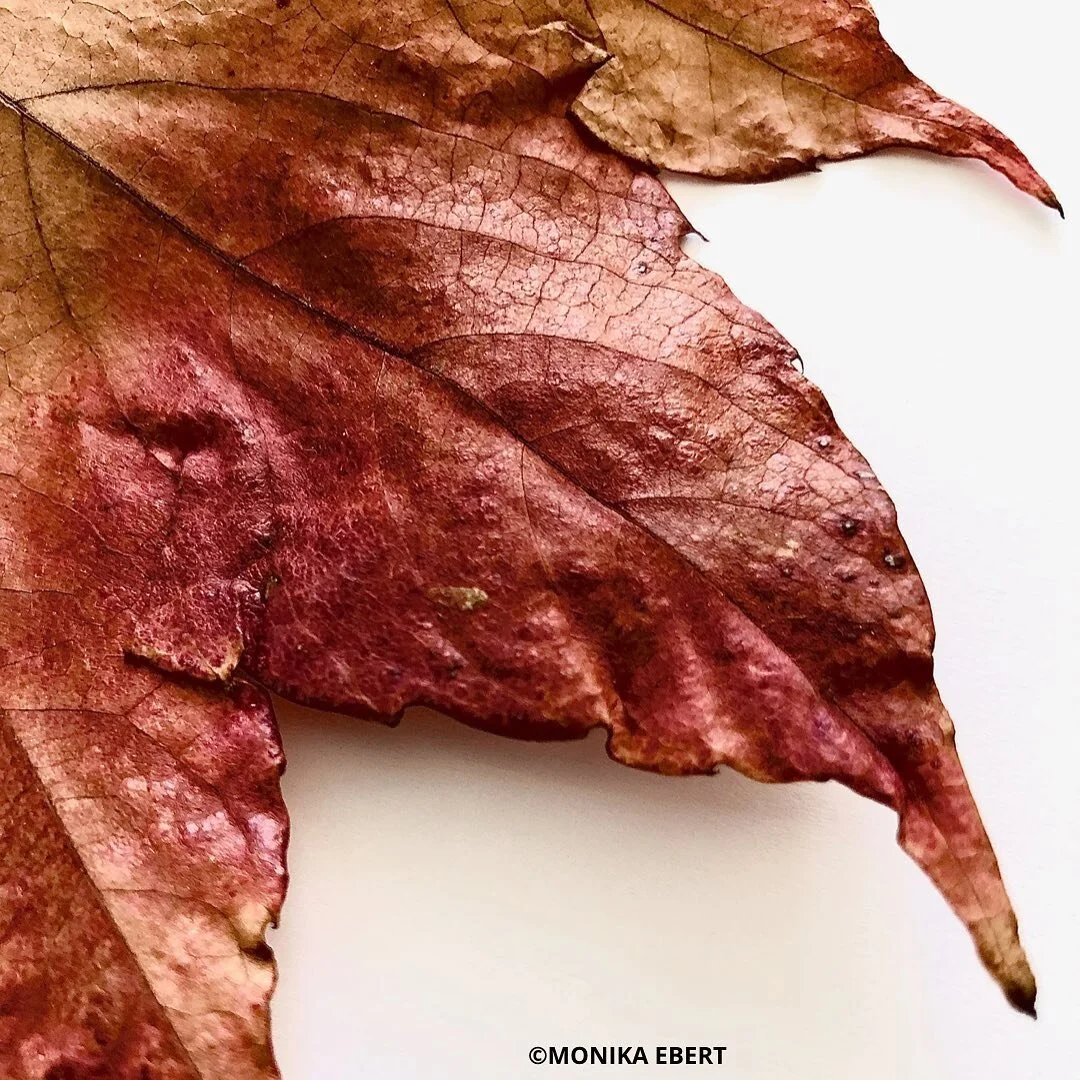 SIGN UP FOR THE FEMALEMAKERS NEWSLETTER NO 20!
RELEASE THIS SUNDAY.
 
#FEMALEMAKERSDOTNET
#gaumenperlen
#femalemakers
#femalemakersinfood
#femalemakersinwine
#femalemakersinbeverage
#femalemakersingastronomy
#femalemakersontheroad