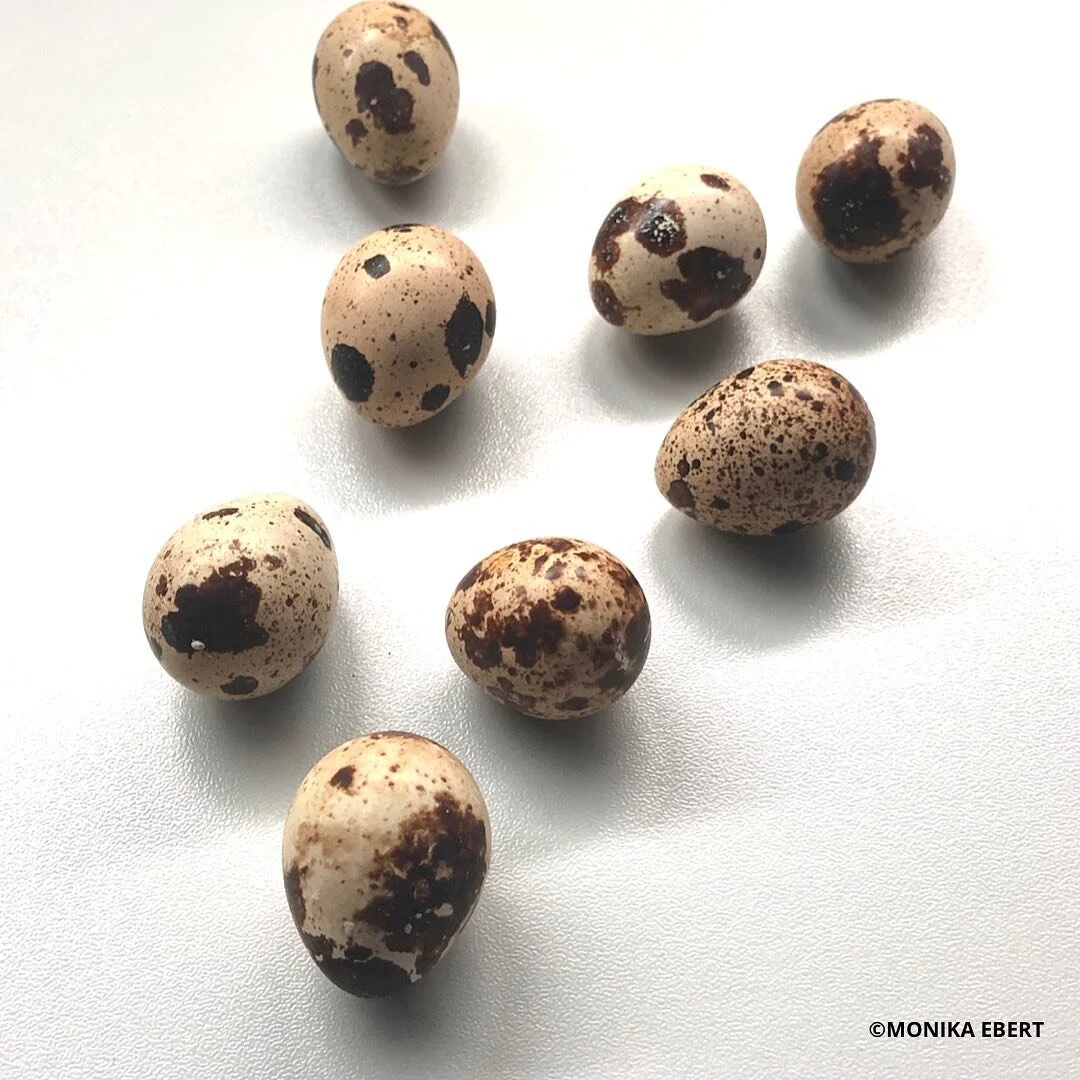 START THE NEW YEAR WITH TOP PRODUCTS: DELICIOUS + BEAUTIFUL FRESH QUAIL EGGS FROM 
@wilhelms_mountain_life 
@hof_reischen 
+ CHRISTINA WILHELM. THANK YOU SO MUCH!!!🧡

#femalemakersontheroad

#FEMALEMAKERSDOTNET
#gaumenperlen
#femalemakers
#femalemak