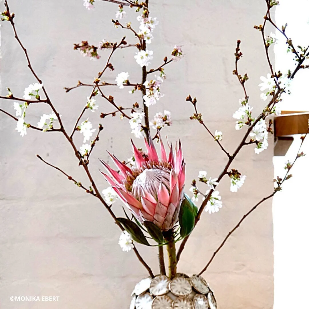 SIGN UP FOR THE FEMALEMAKERS NEWSLETTER!
RELEASE THIS SUNDAY!

GOOD NEWS ONCE A MONTH.
FOOD+BEVERAGE+GASTRONOMY

#FEMALEMAKERSDOTNET
#femalemakers
#femalemakersinfood
#femalemakersinwine
#femalemakersinbeverage
#femalemakersingastronomy
#femalemakers