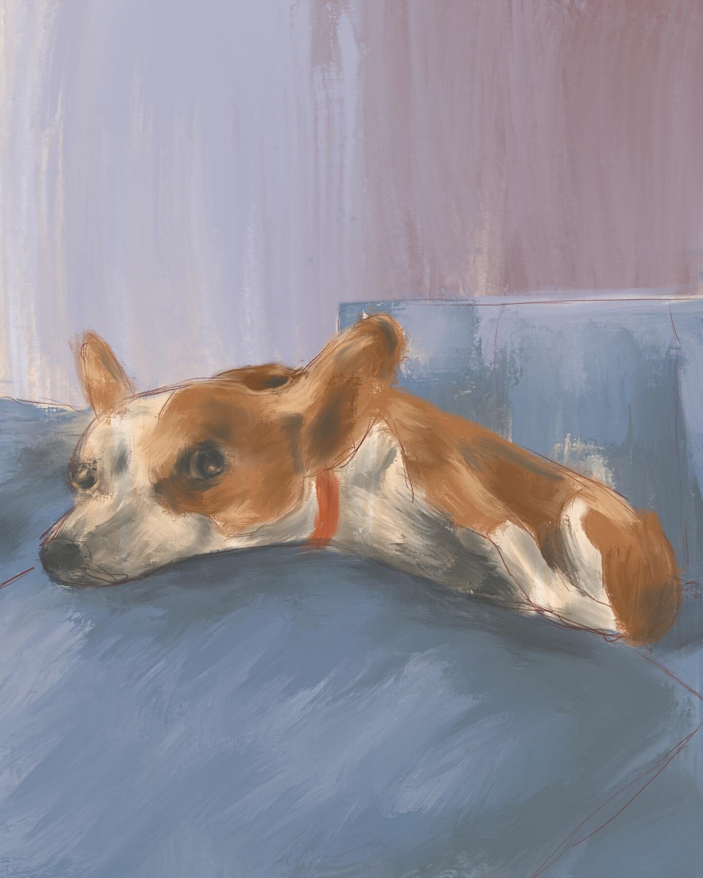 My monthly drawing of #tinafeyofficial 🤍 #corgisofinstagram #corgination