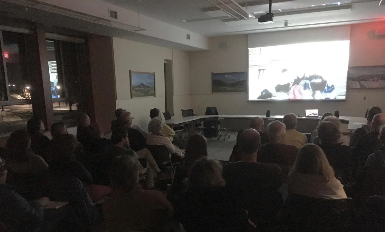 Large JPG-Aro Ha_0428.jpg