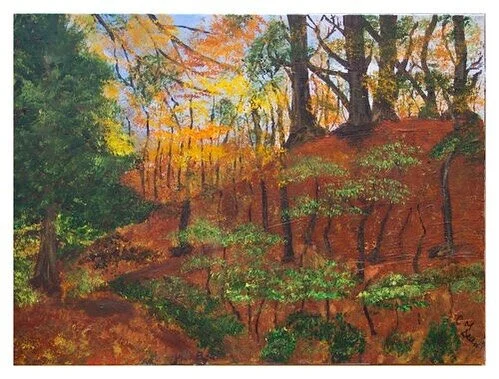 Shropshire Woodland. Acrylic on canvas. 

#shropshire #shropshirewoodland #woodland #acryliconcanvas #cathydean #sheffieldpainter