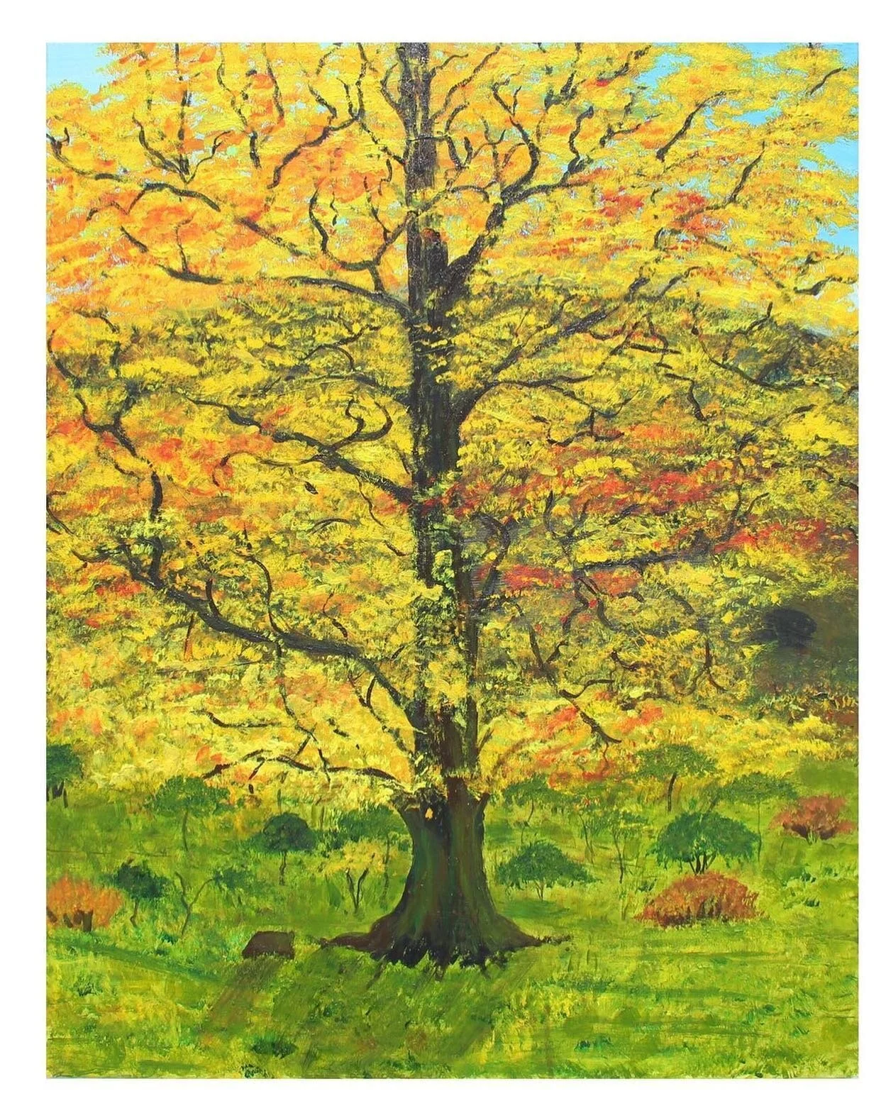 'An Oak in Autumn' Acrylic on canvas. Un-framed. Width 75cm x Height 95cm. .
.
#autumn #oak #sheffieldpainter #cathydeanpainter #yellow #autumntones #acrylicpainting #woodland #landscape #landscapepainter