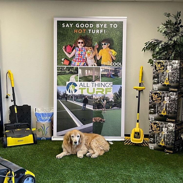 T&ordm;Cool&reg; Partner Spotlight - All Things Turf, LLC

T&ordm;Cool has a new blog series that highlights our partnerships with the people / companies that are innovating throughout the Synthetic Turf Industry. 

Our first &quot;T&ordm;Cool Partne