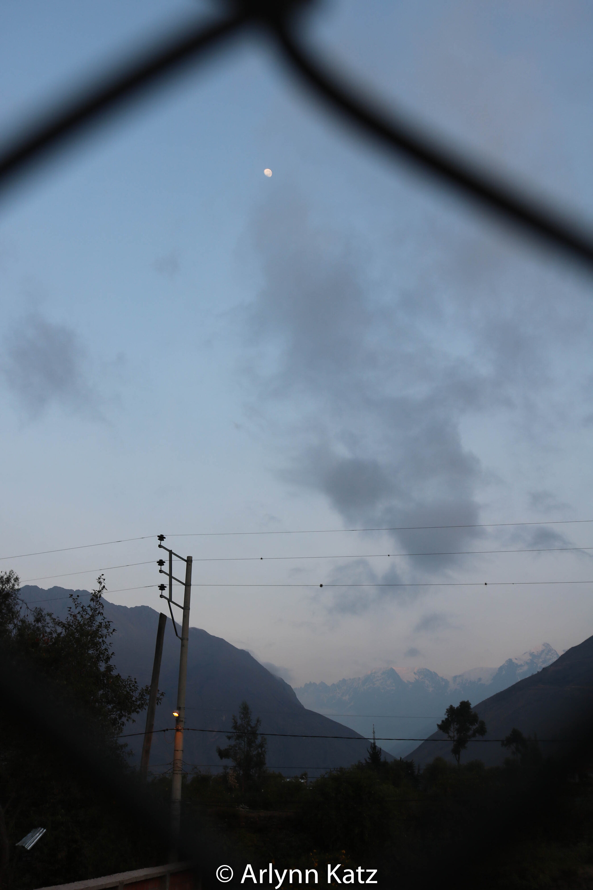 IMG_6716.jpg
