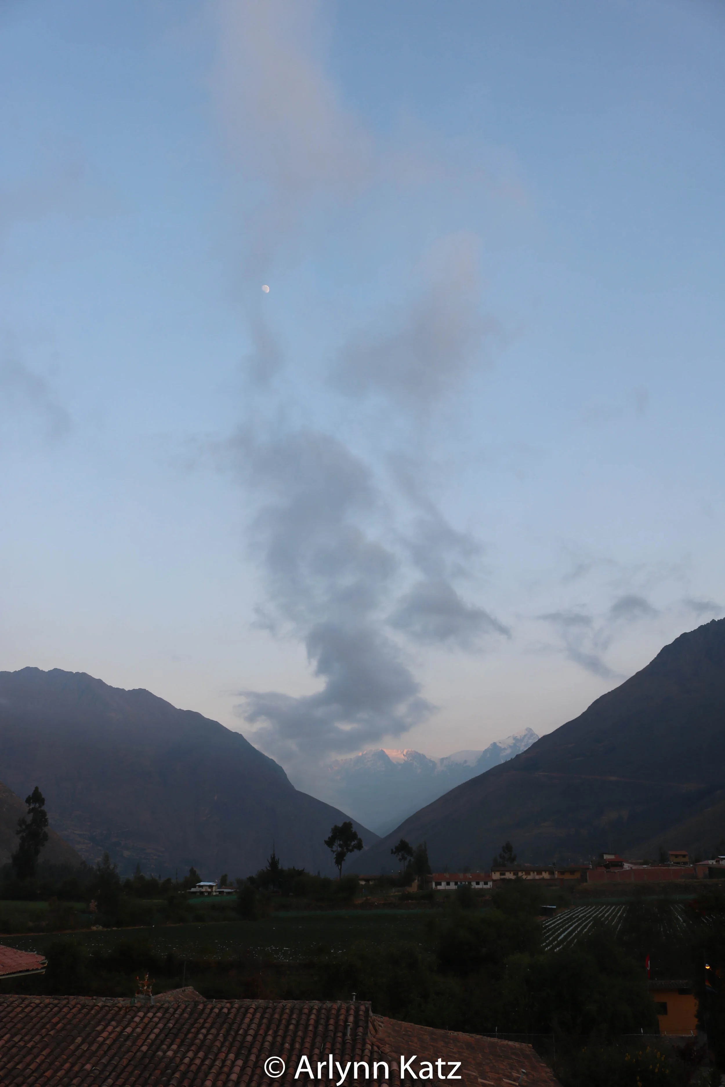 IMG_6732.jpg