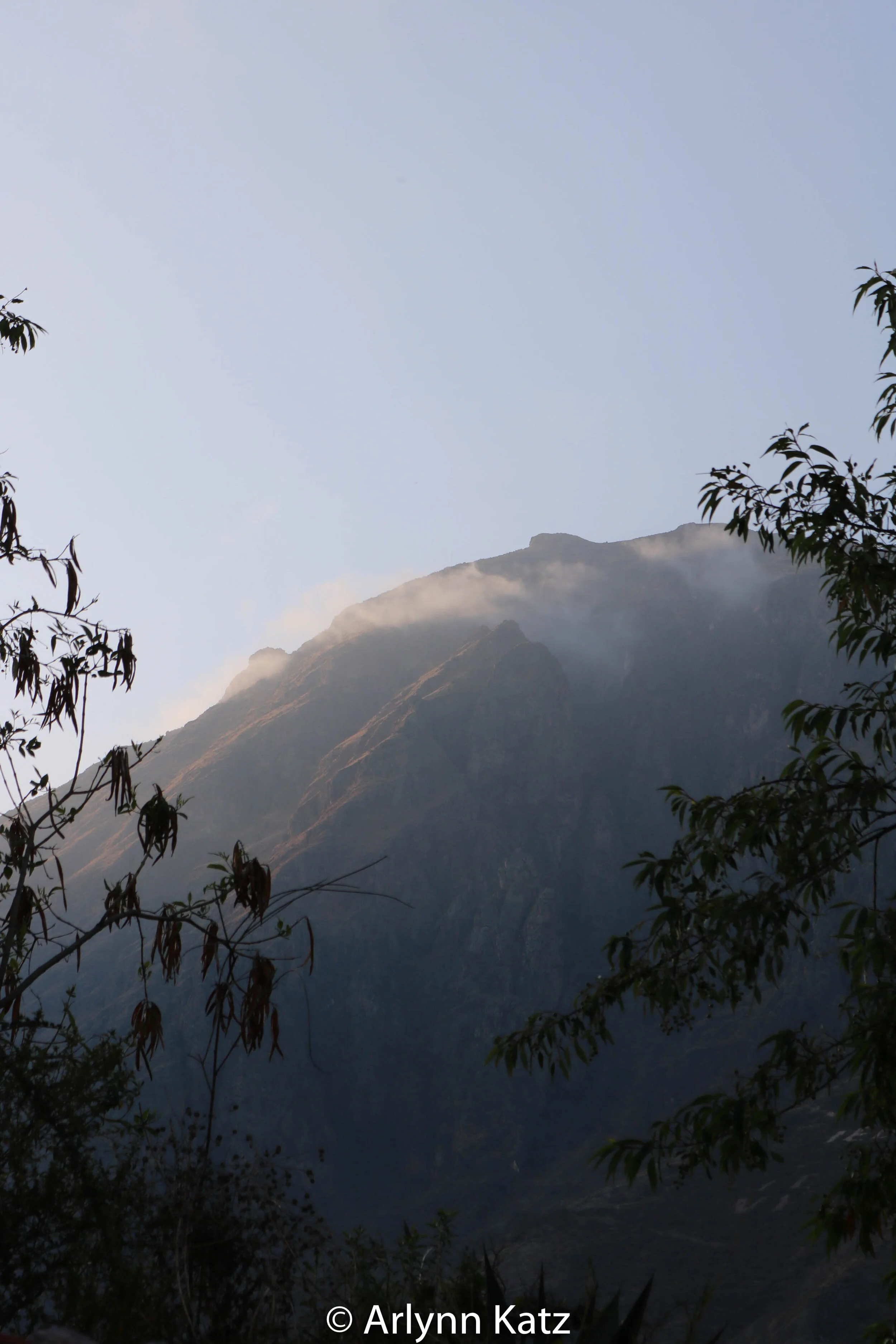 IMG_6789.jpg
