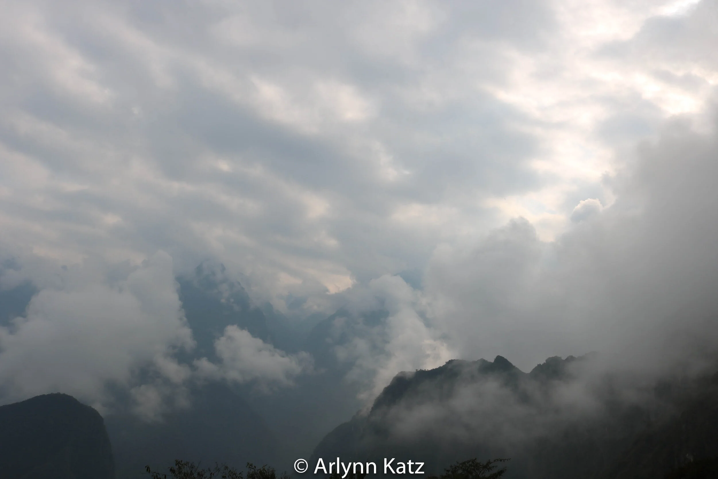 IMG_8462.jpg