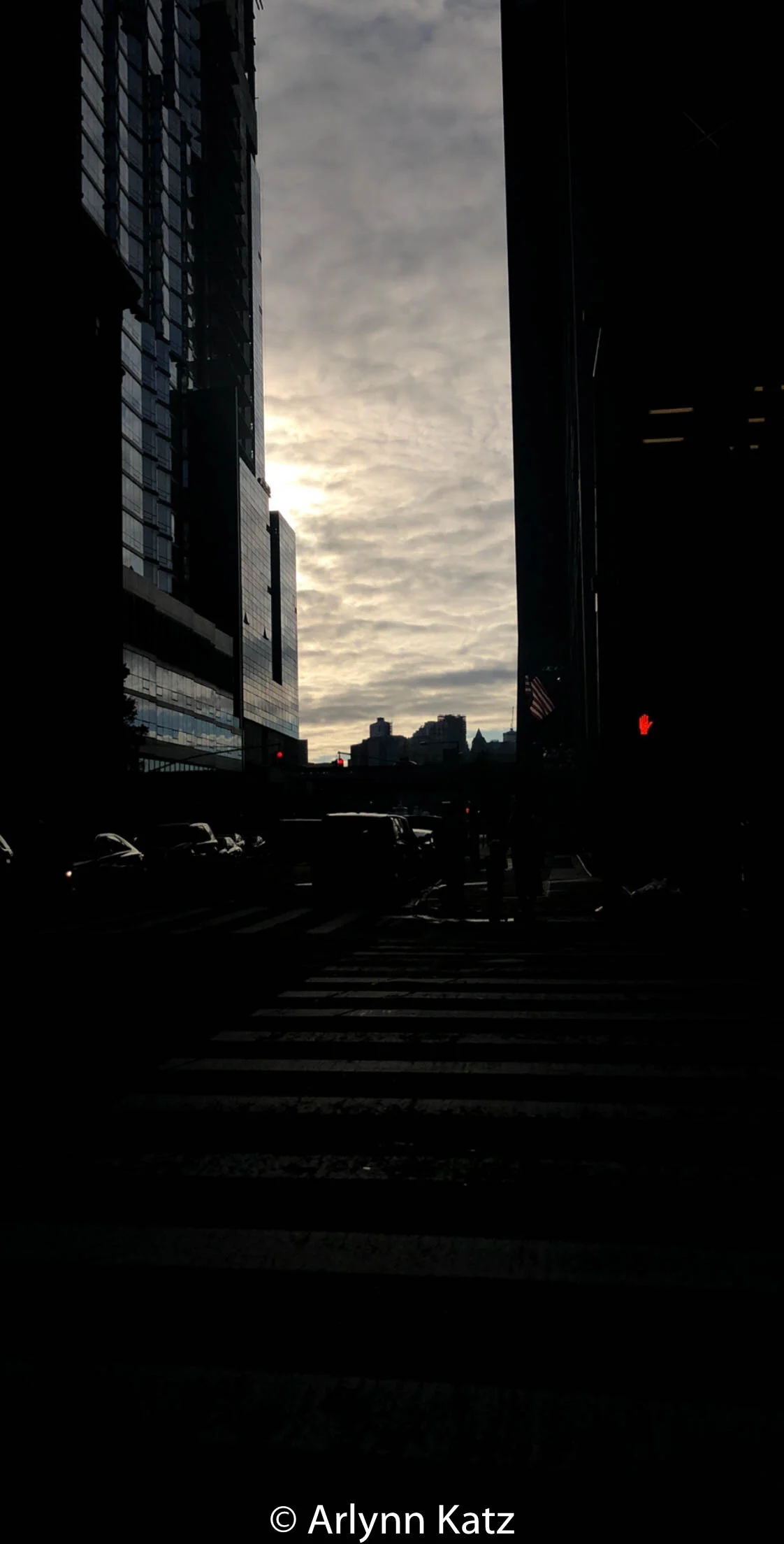 IMG_9179.jpg