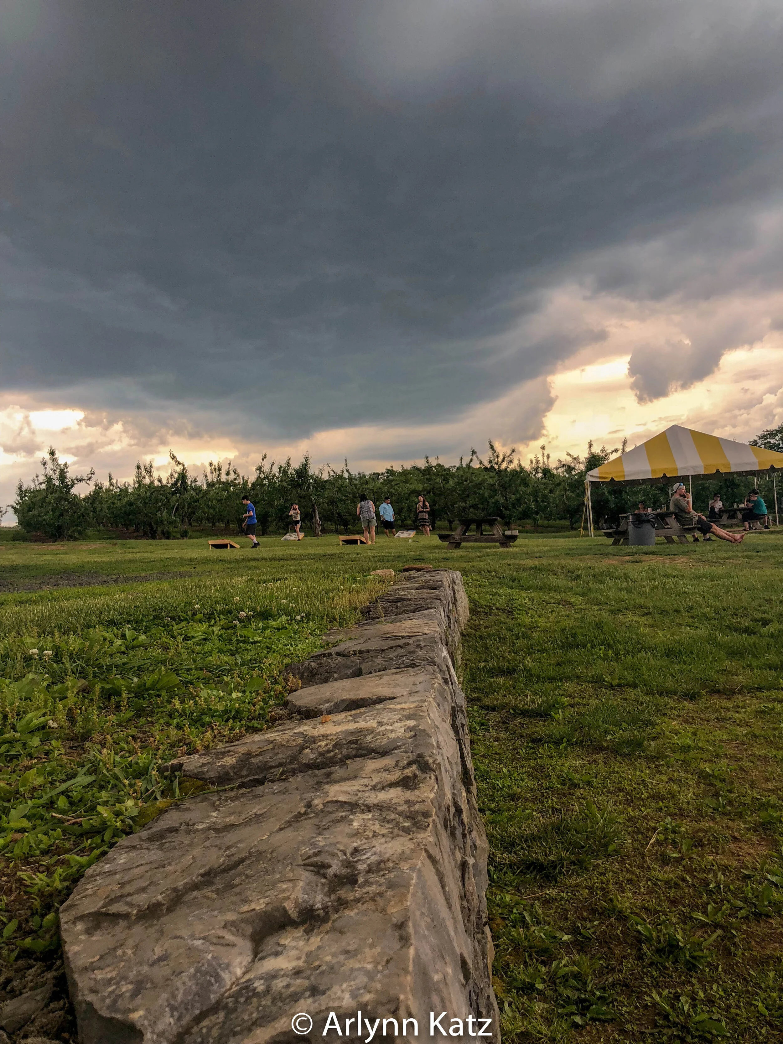 BEA29B0F-7CBE-4A5A-85F3-080080B7BC40.jpg
