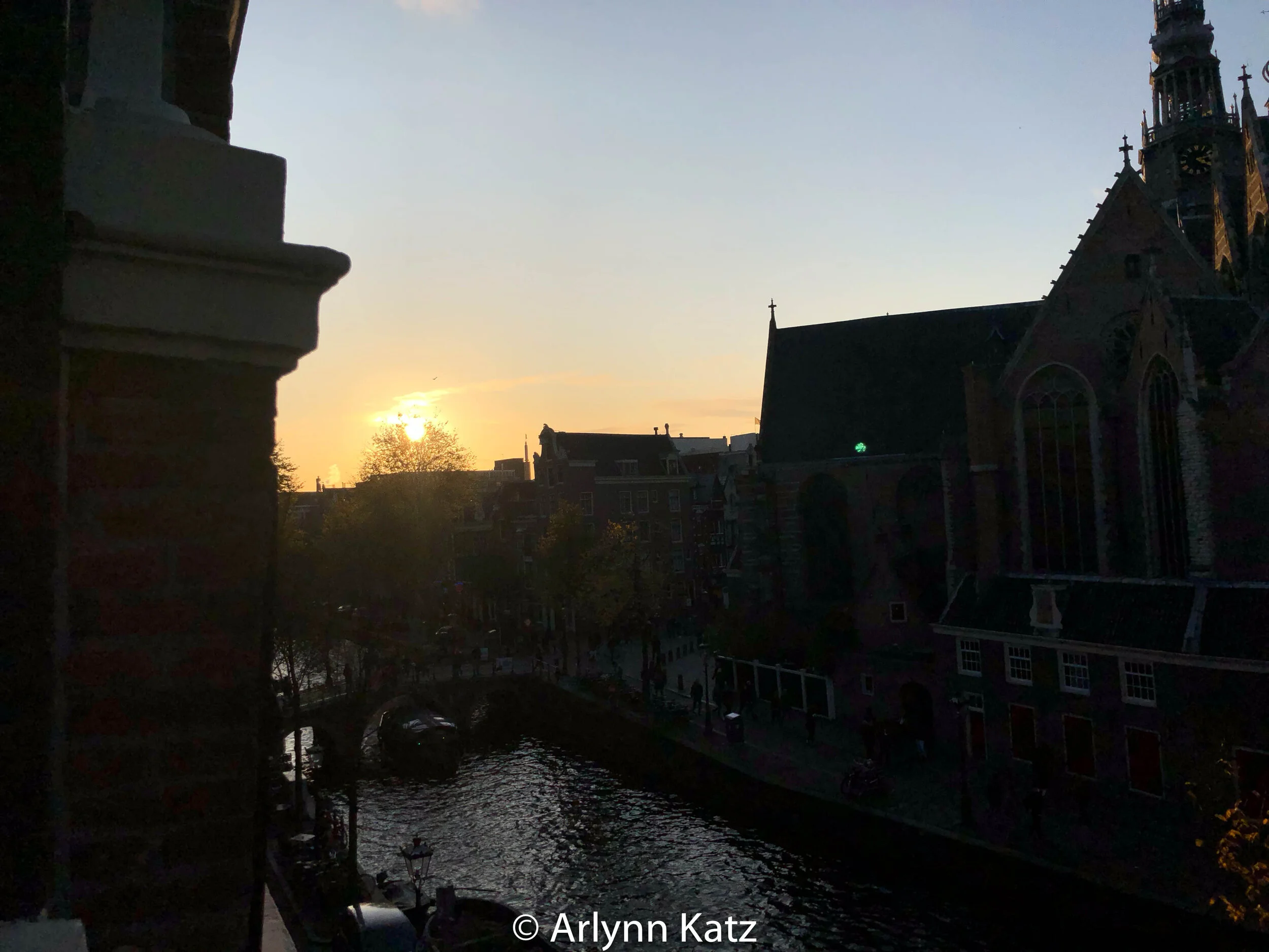 IMG_7264.jpg