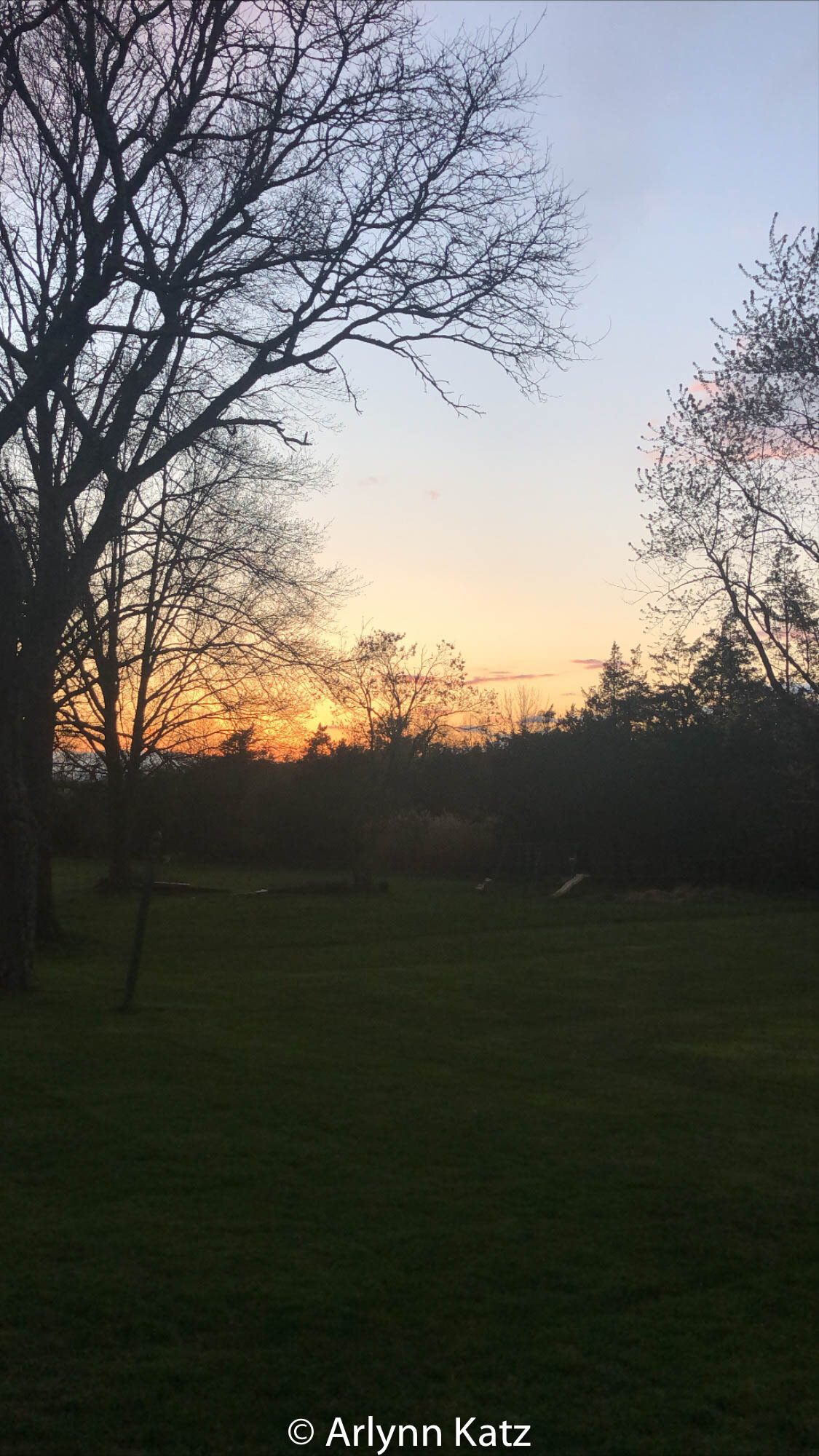 3F0E66EE-BC67-42CC-B4A6-7BDE582D5567.jpg