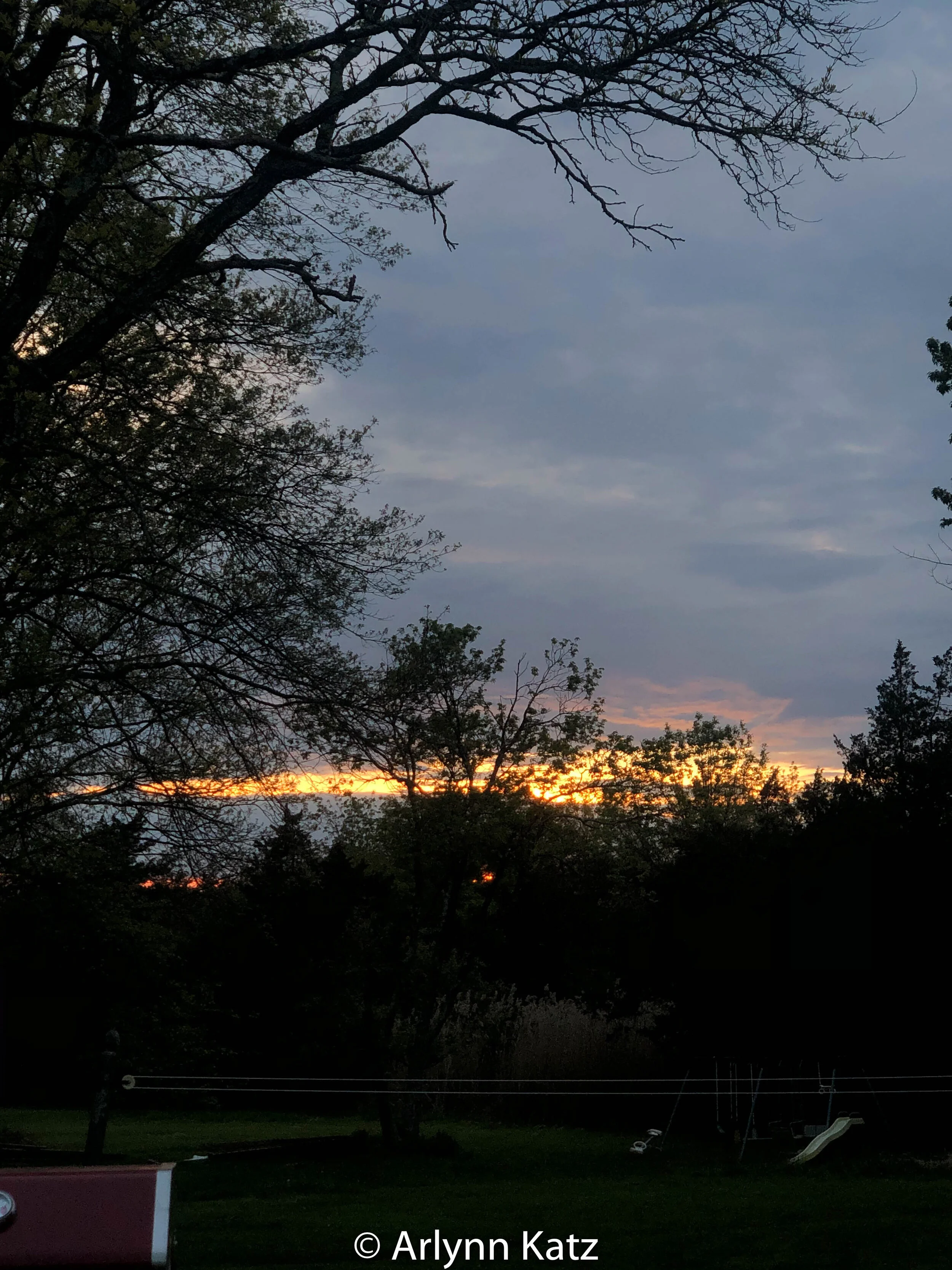 IMG_6579.jpg