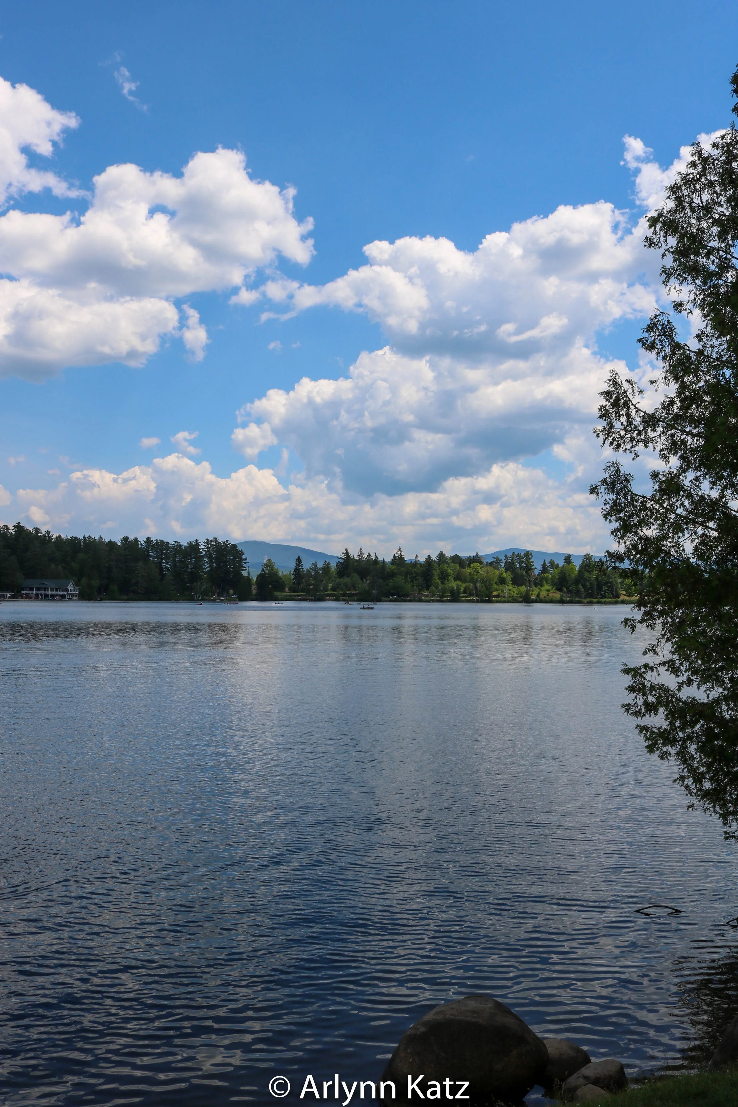 IMG_0047_Vcolor.jpg