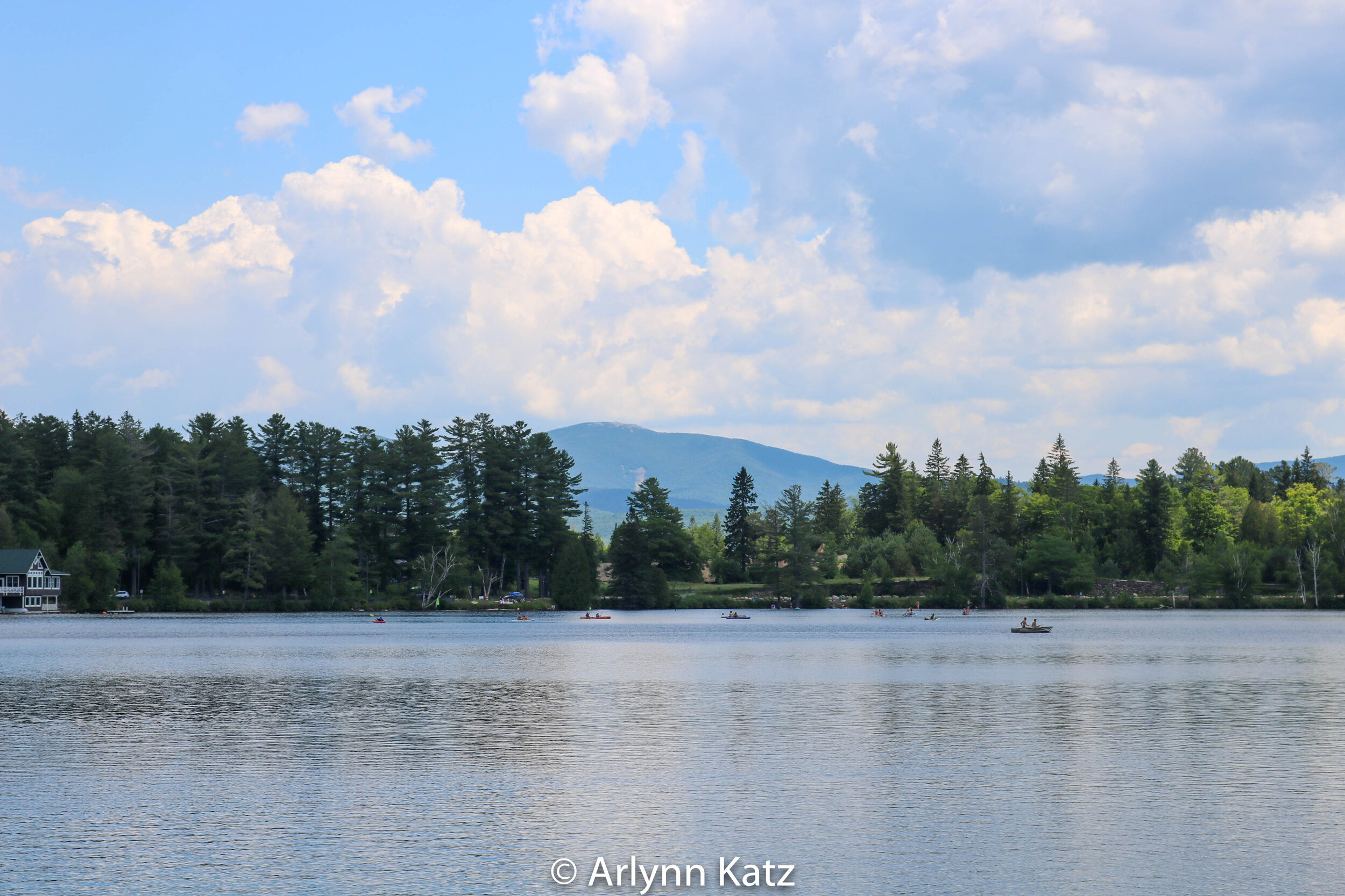 IMG_0050_Vcolor.jpg