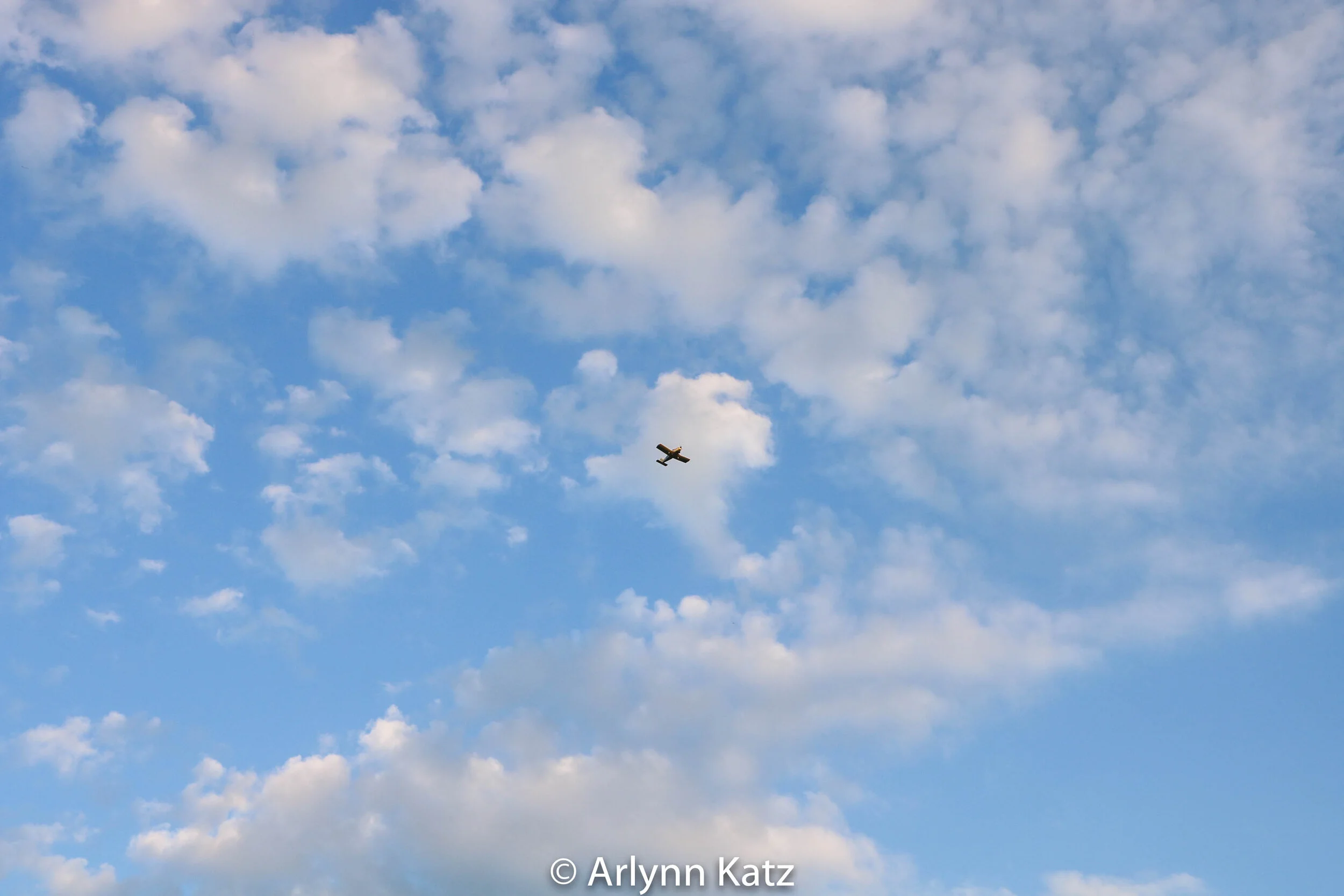 IMG_0110_Vcolor.jpg