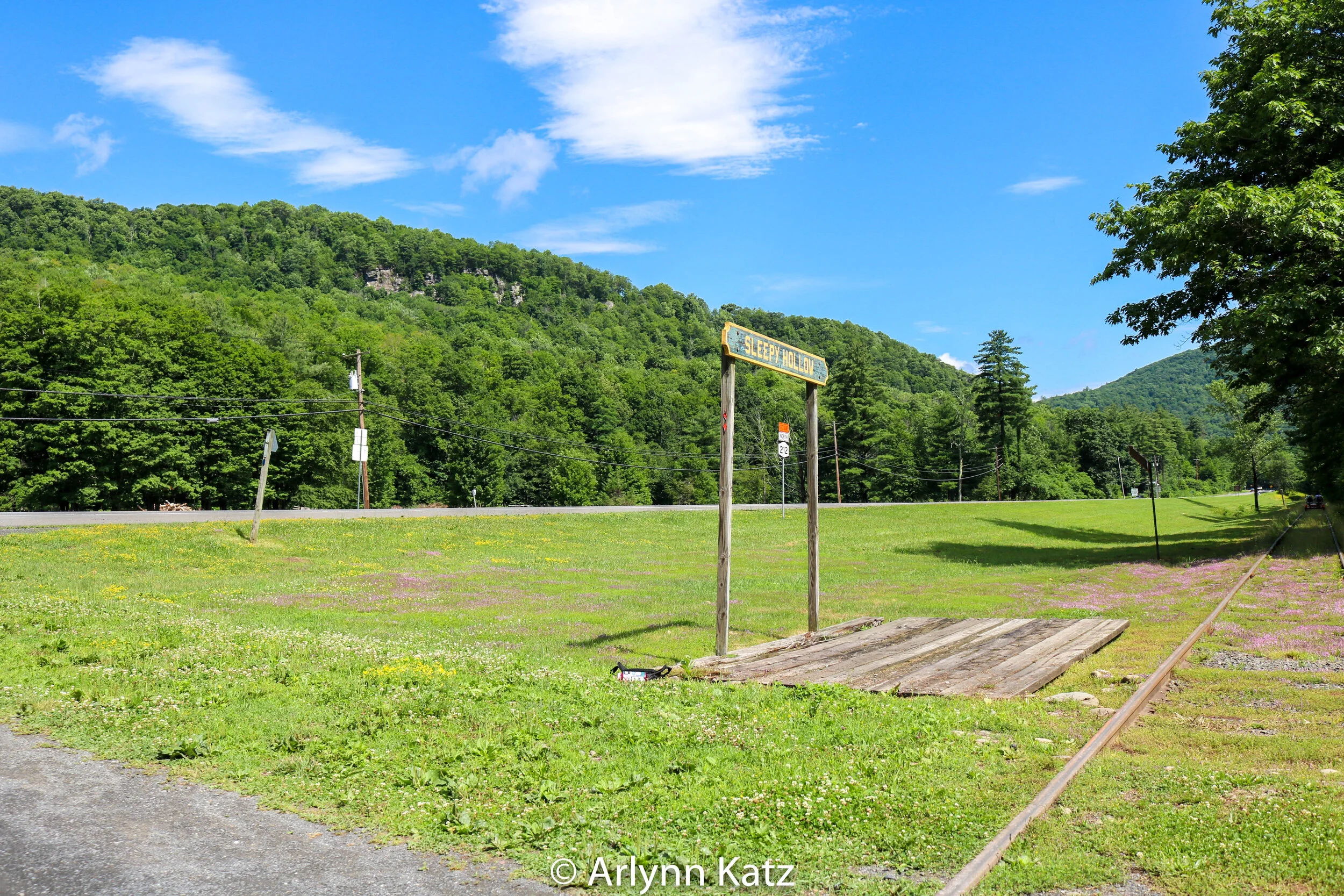 IMG_0534_Vcolor.jpg