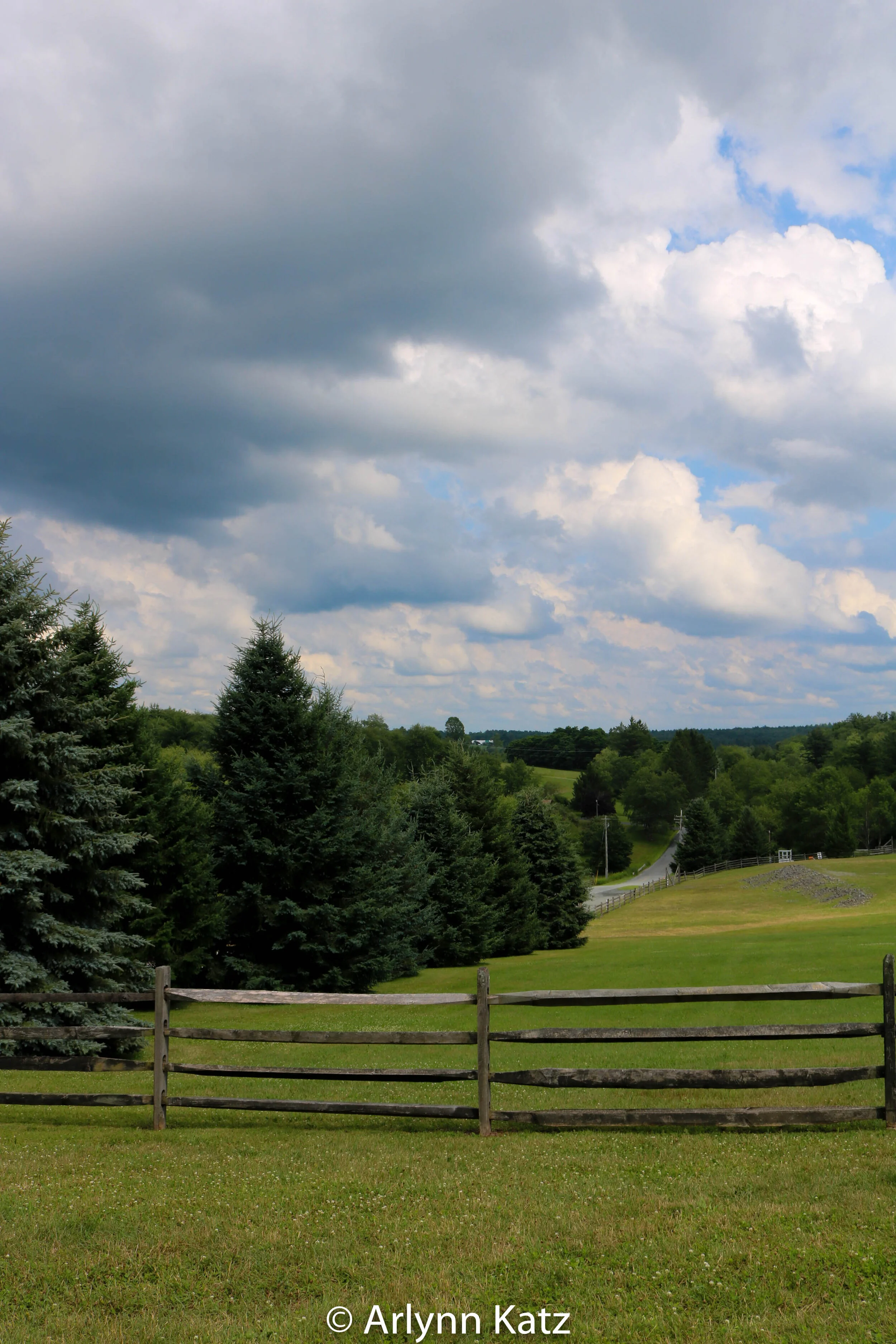 IMG_0649_Vcolor.jpg