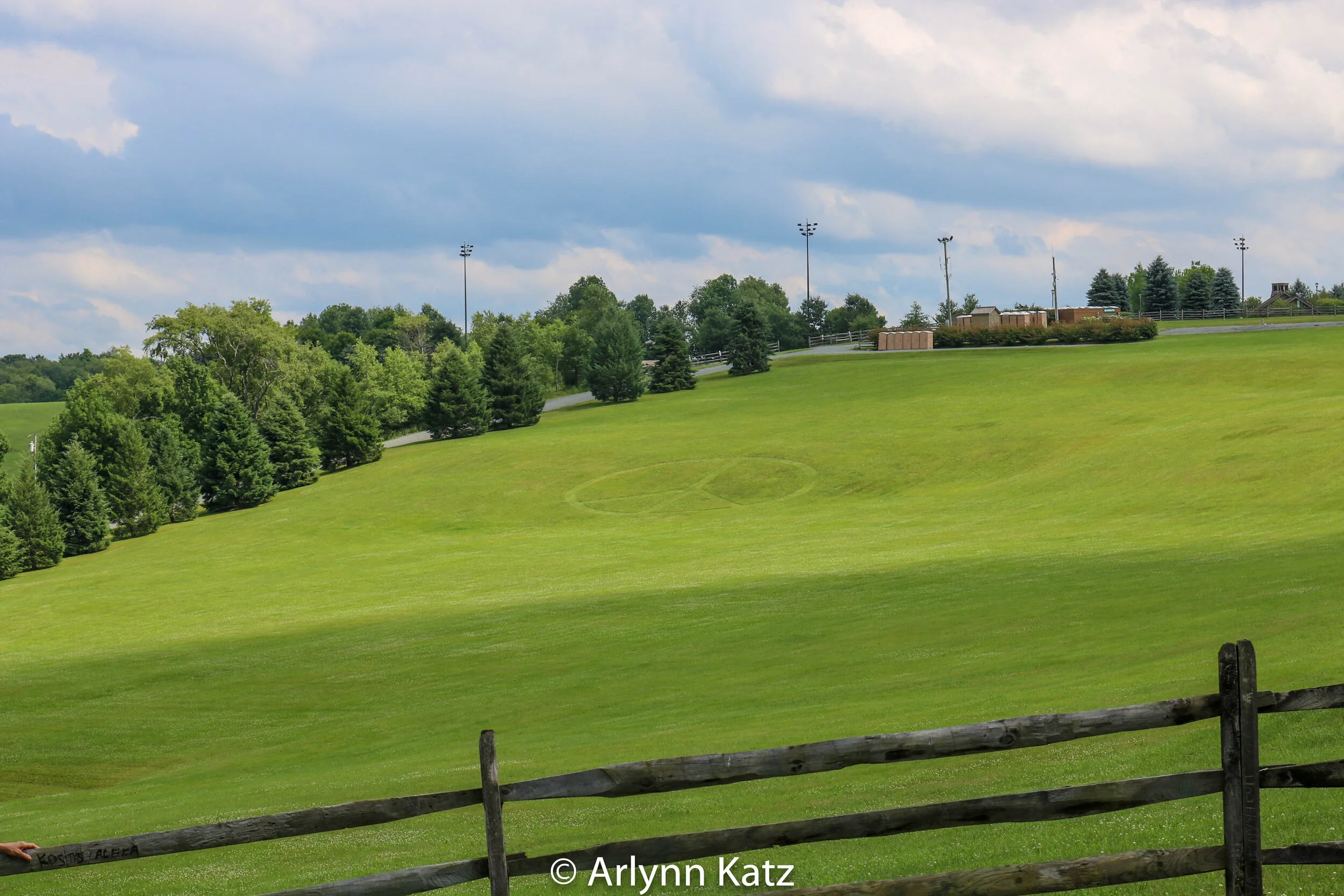 IMG_0645_Vcolor.jpg
