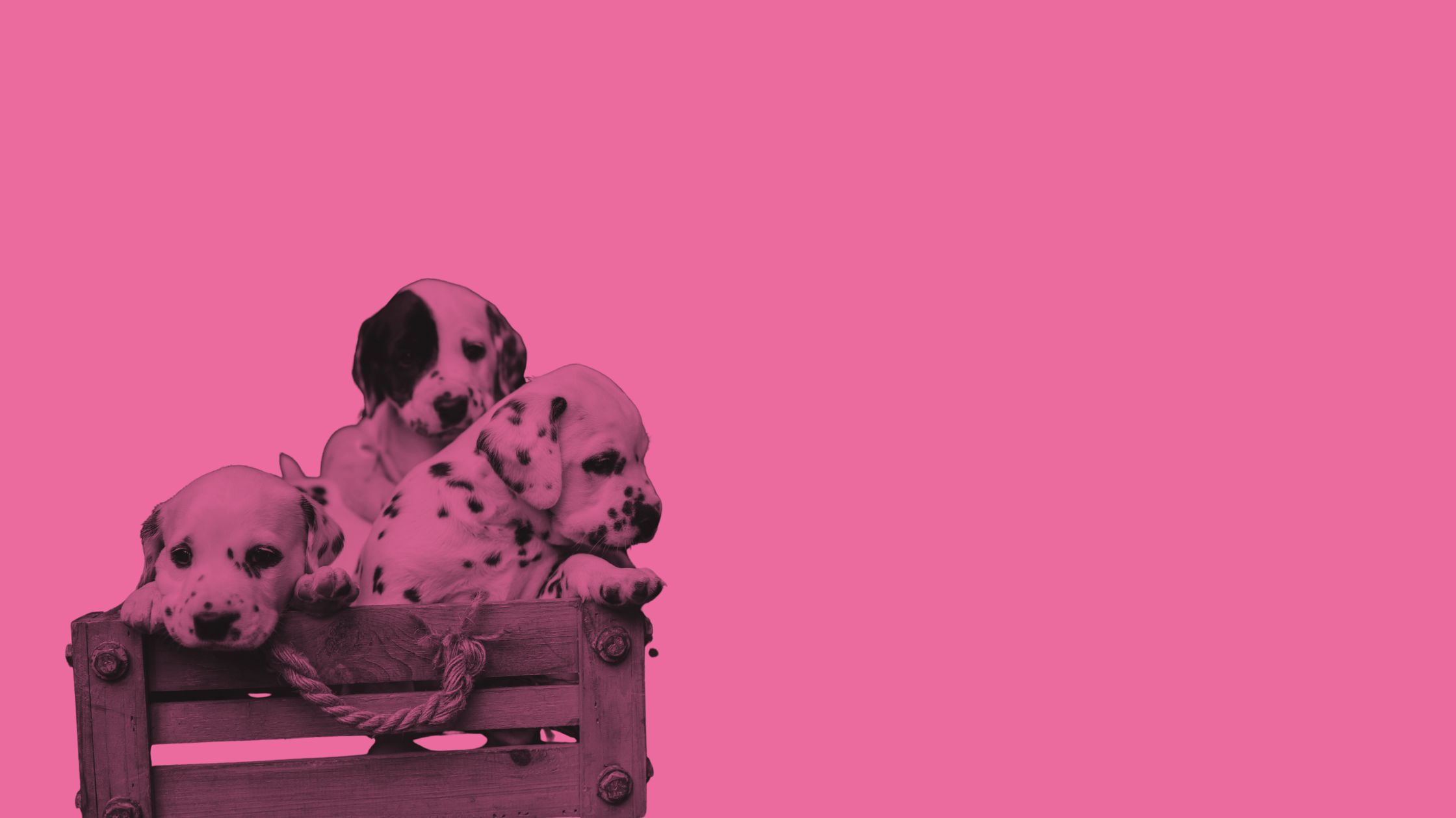 Why sales and marketing need to be besties if you want conversions