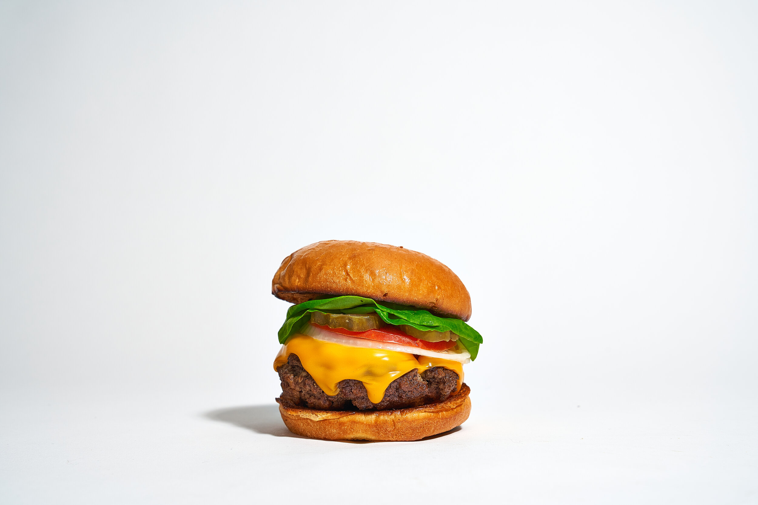 BURGERS_CHEESEBURGER_WHITEPLATE4289.jpg