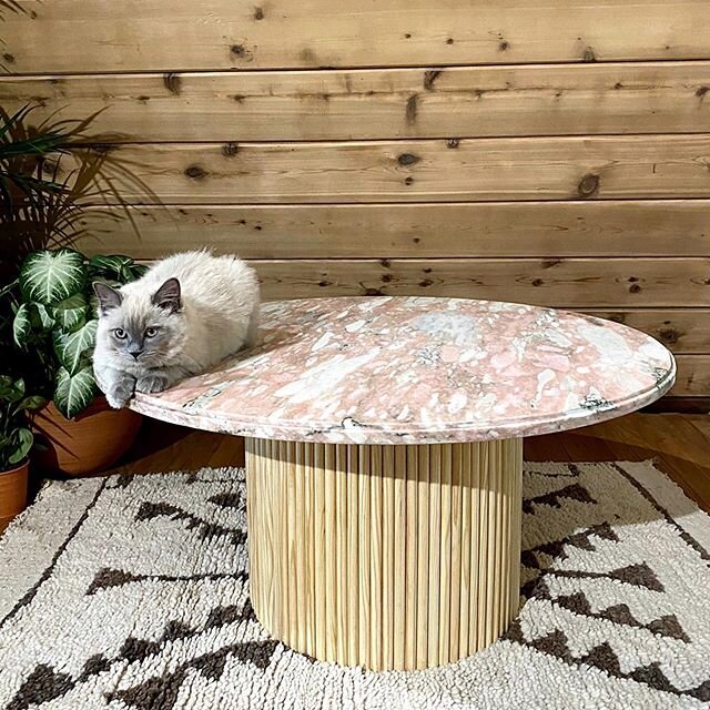 Ok. So I know you just saw this table but..I FREAKING MADE this!
.
Prepare to see it flooded in my feed because.. well..I adore it. And if ladies like @angelarosehome and @thesandingblonde can do it.... so can I 💪and so can YOU!! 🤜🤛
.
Head to my I