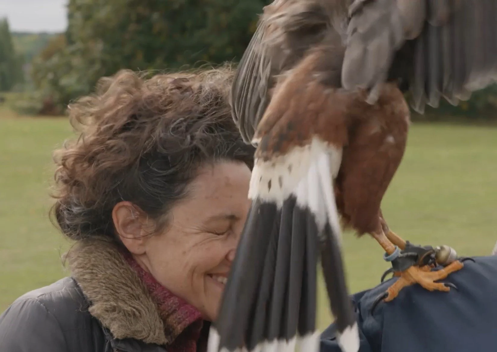 October  'Working in Animal' London workshop 