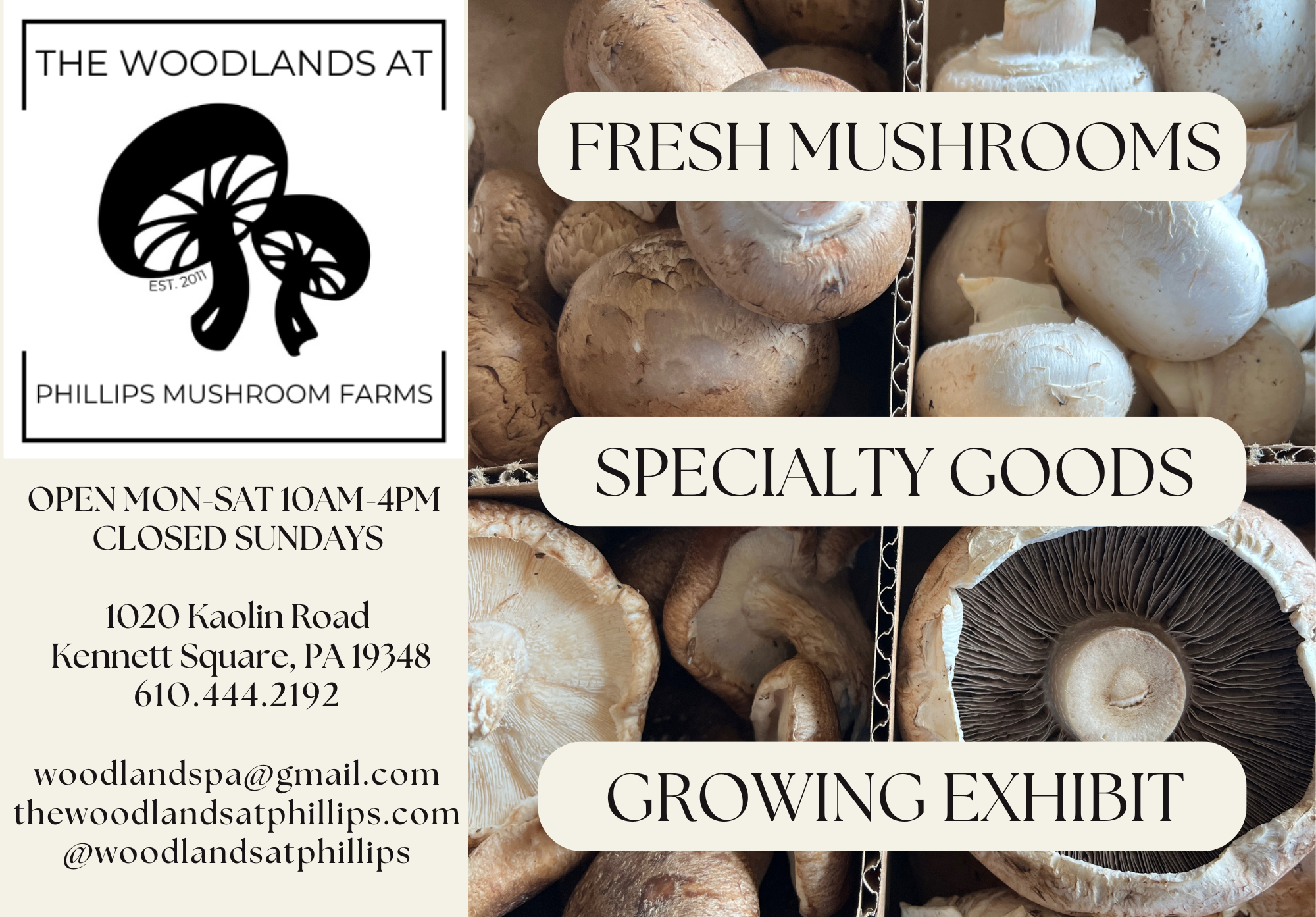 Silver Sponsor: The Woodlands at Phillips Mushroom Farms
