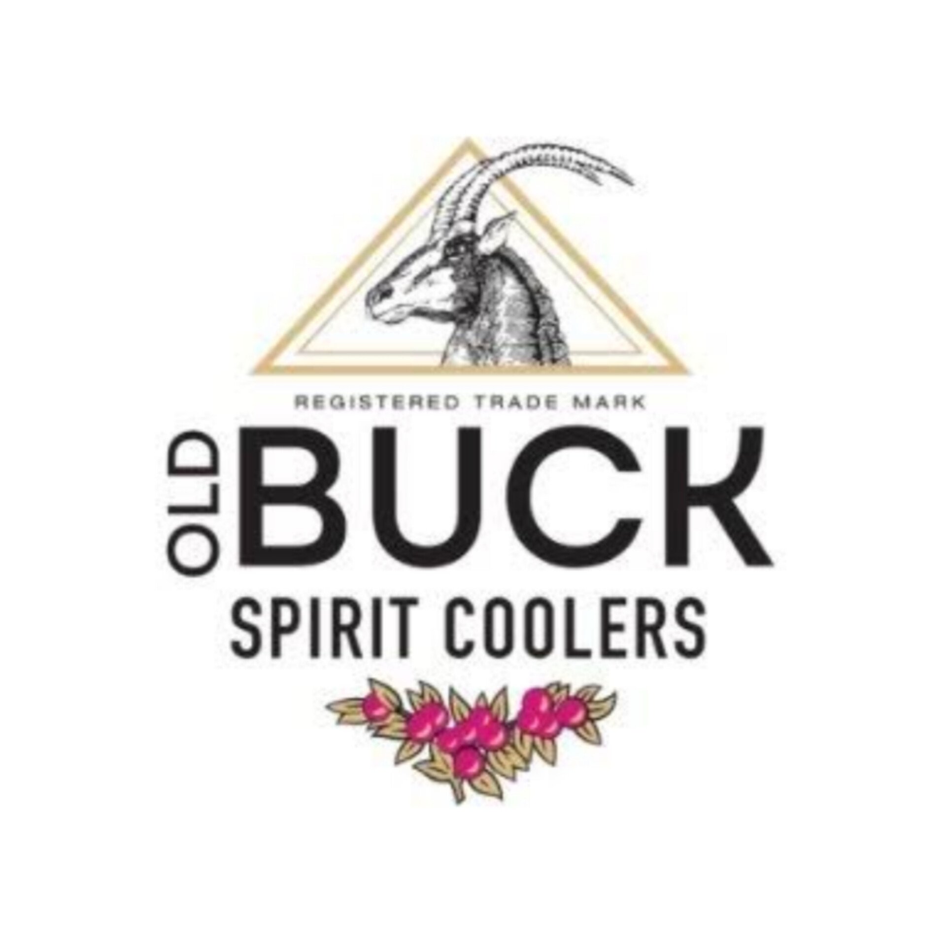 Lifestyle photography styling for Old Buck Gin alcholic spirit coolers