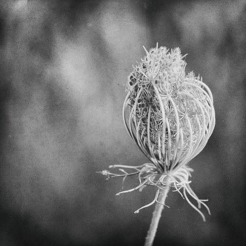 Secretos atrapados 30x30[1173].jpeg