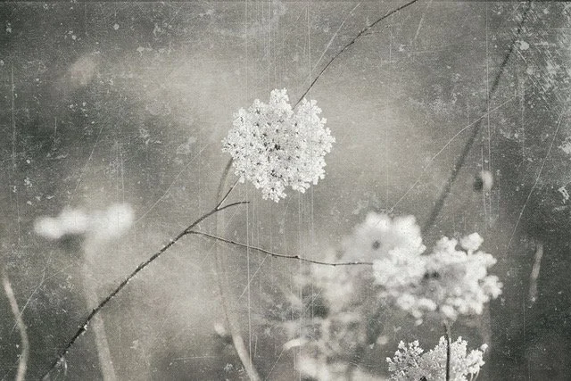 Sutilezas manchegas30x40[1174].jpeg