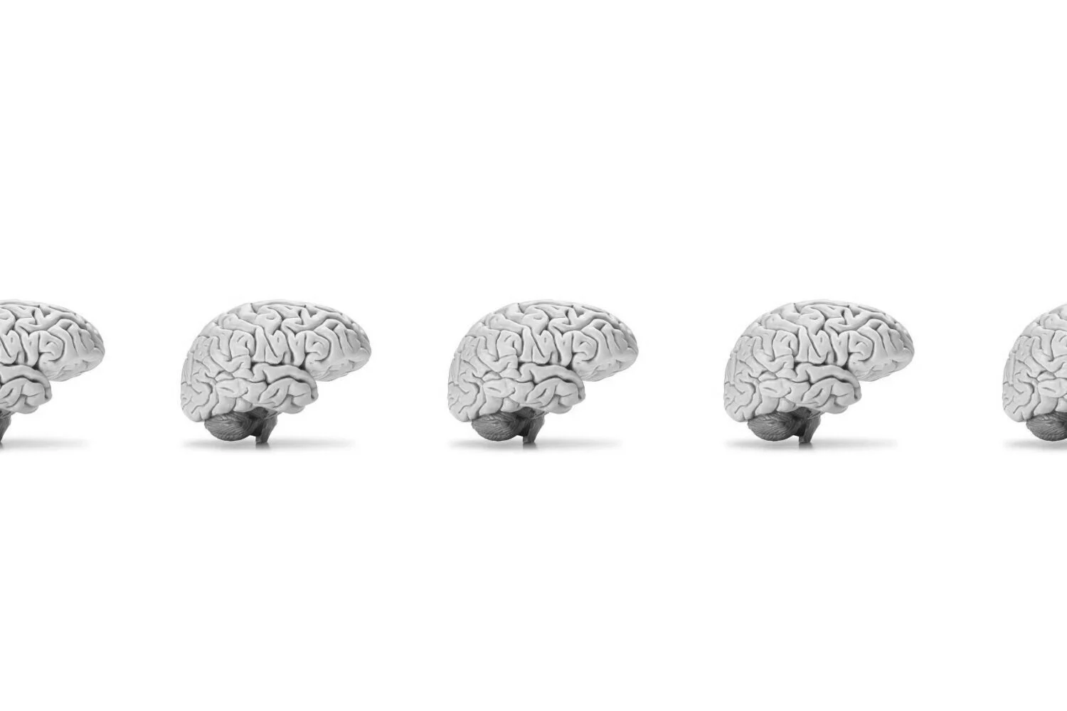BRAIN DYNAMICS LAB