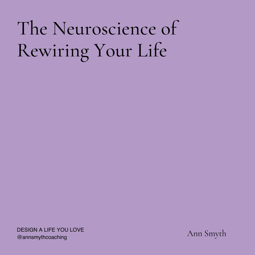 The Brain You Build - The Neuroscience of Rewiring and Redesign Your Life
