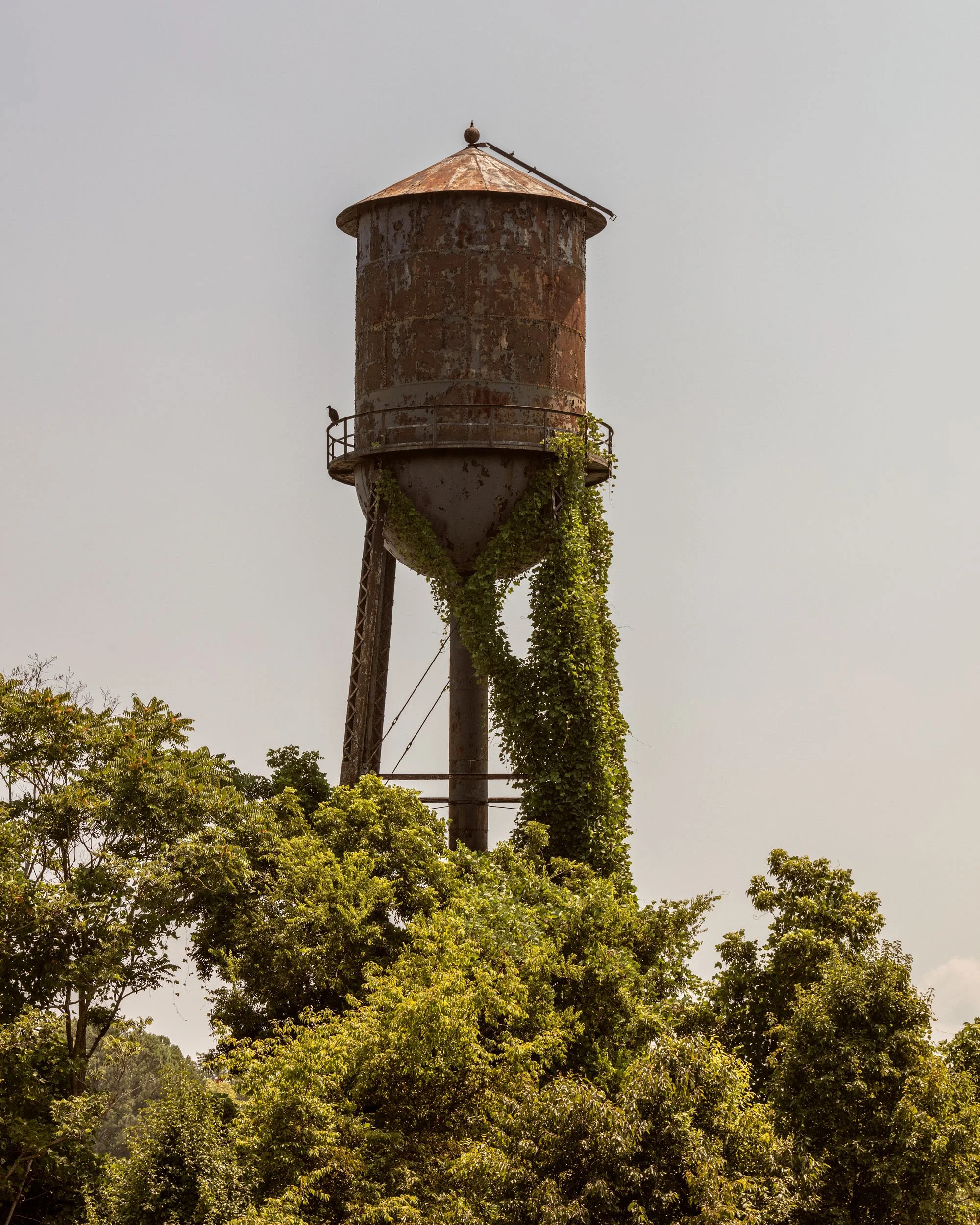 BM_RURAL_BIZ_024.jpg