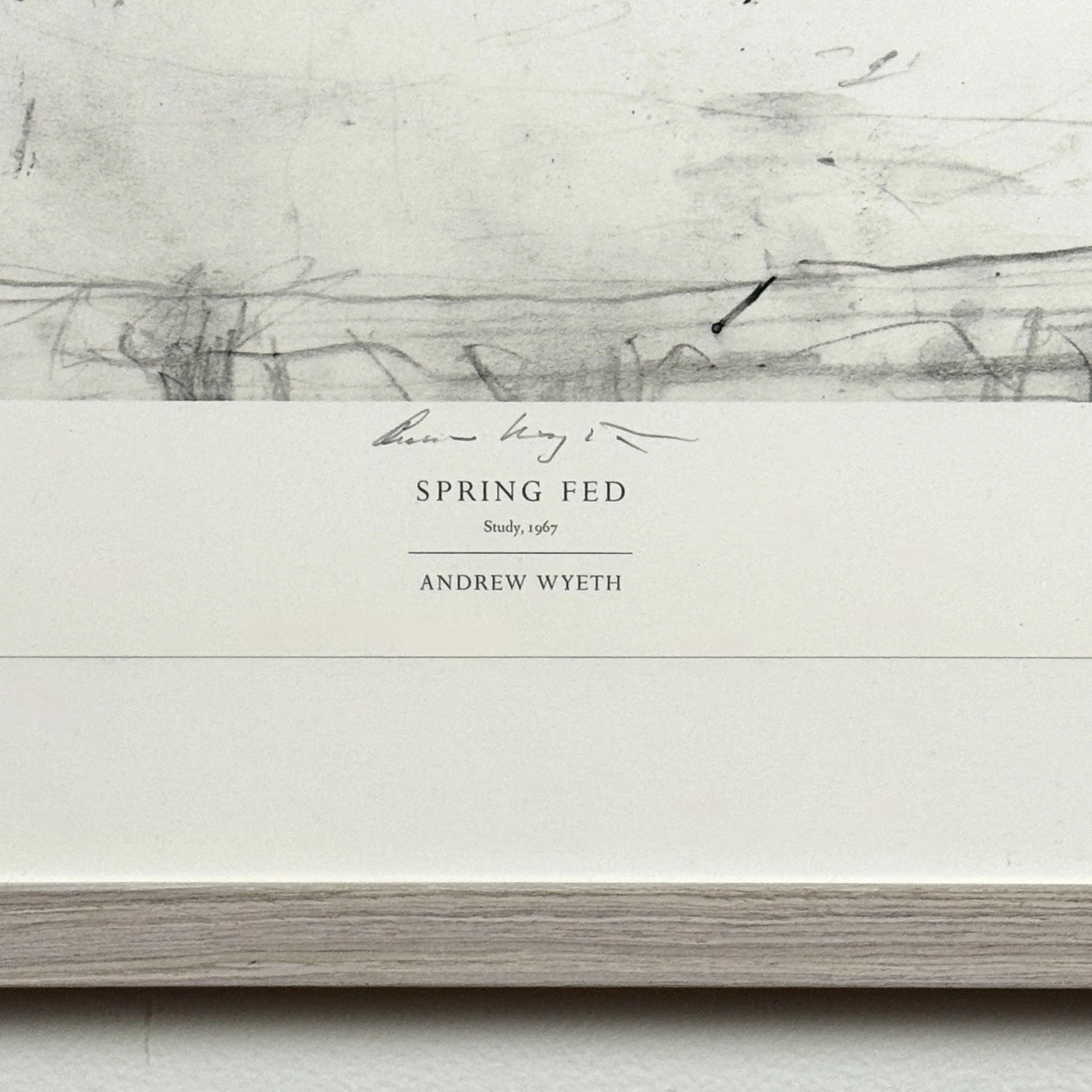 Signed Andrew Wyeth Spring Fed limited edition print