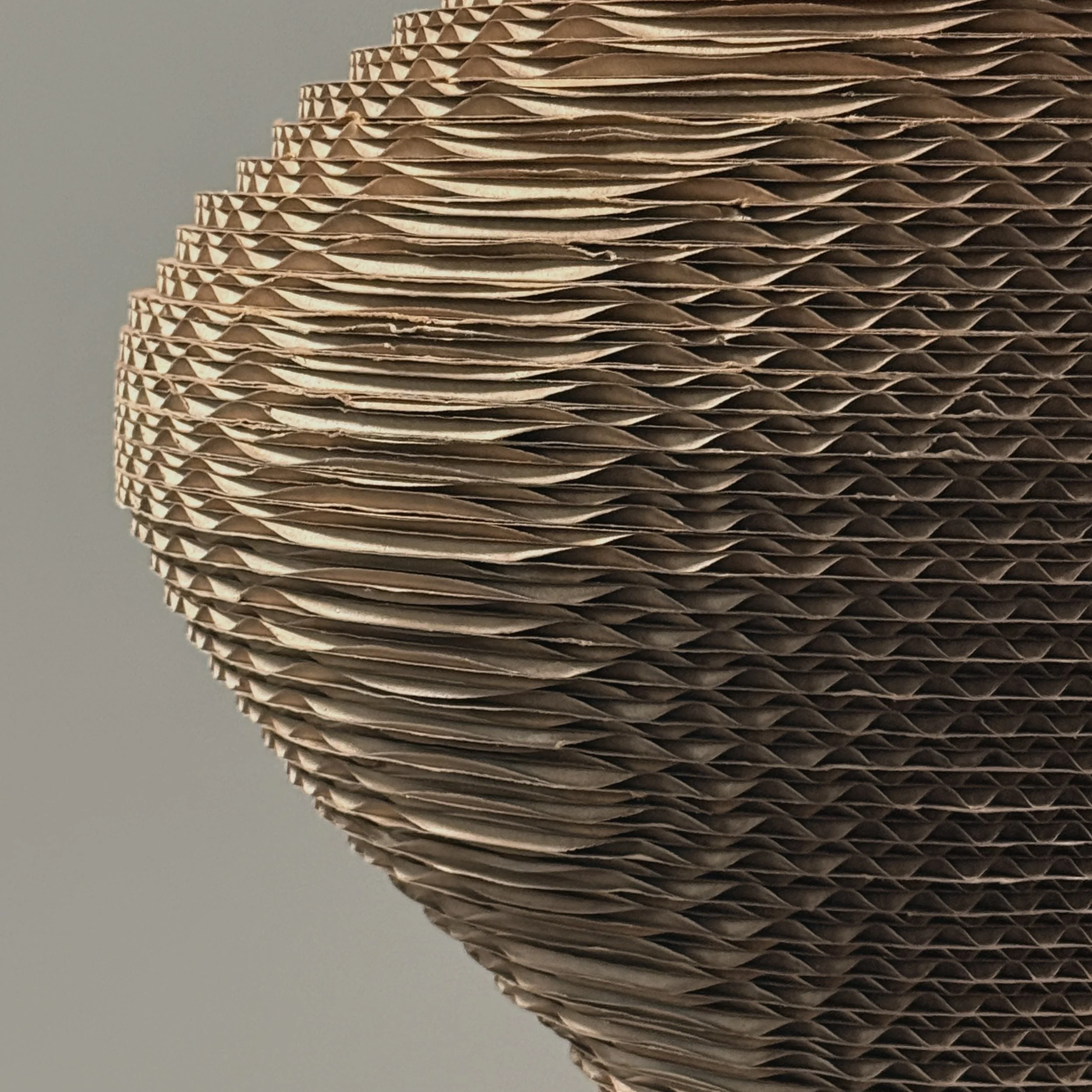 Lightweight cardboard sculpture, rods and base, biomorphic form