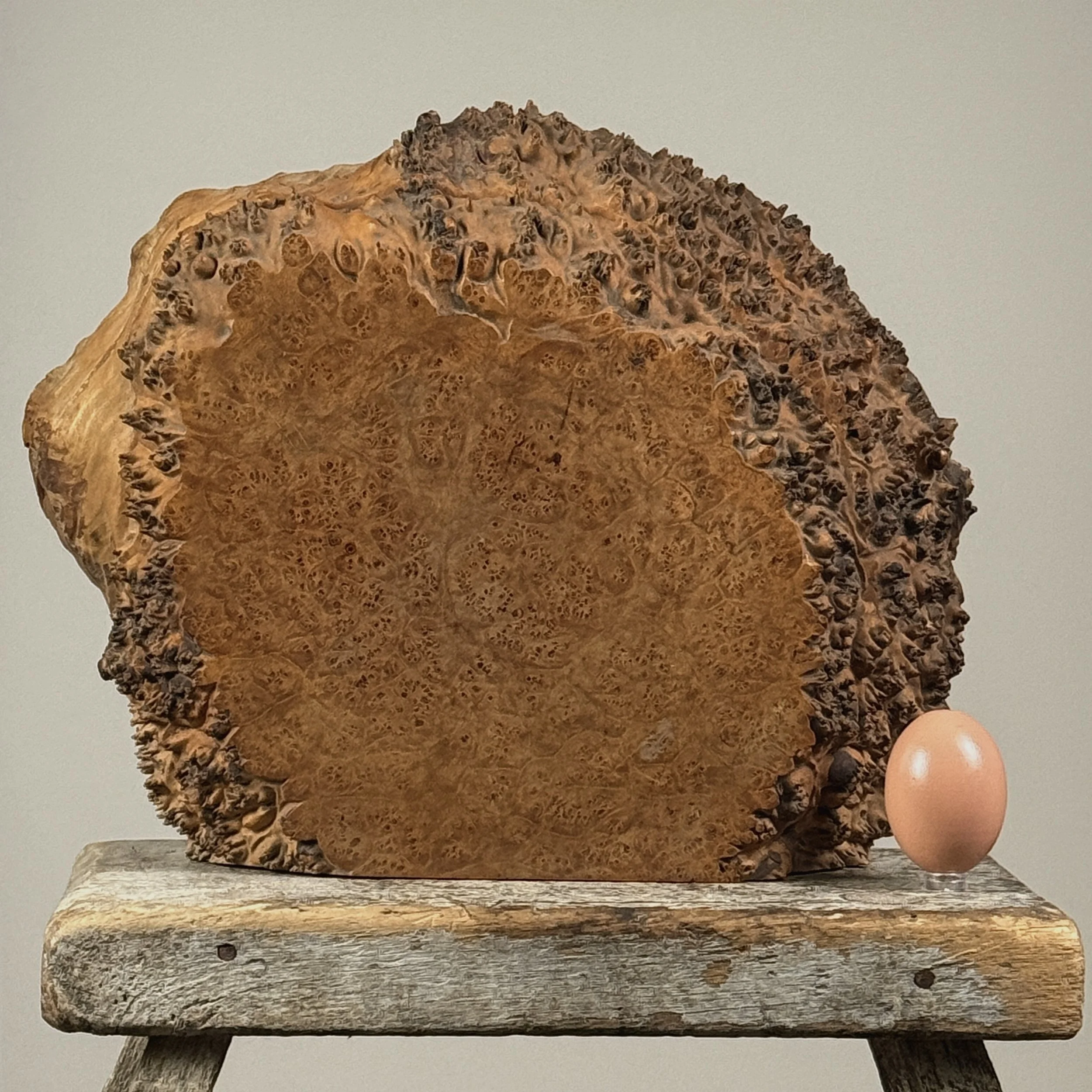 Michael Elkan live edge burl wood box, hand-carved studio art, signed