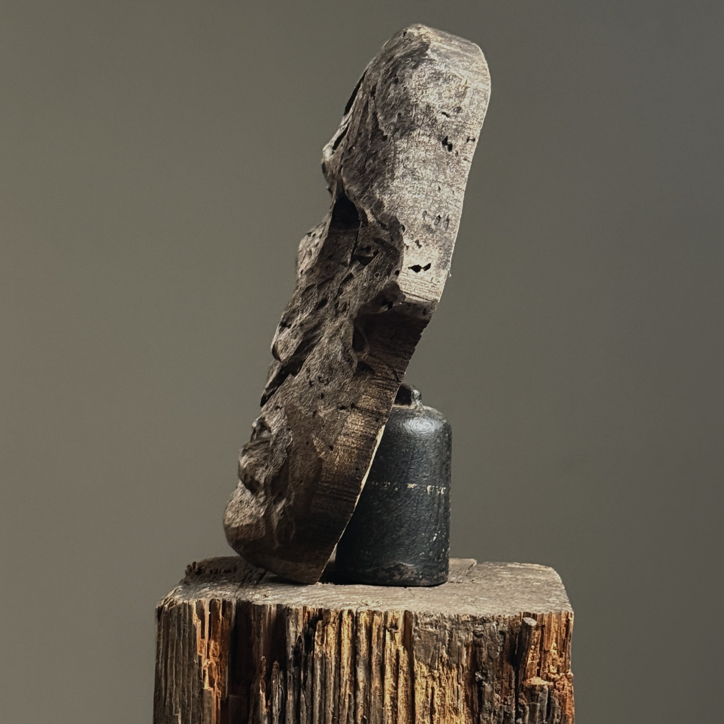 Profile view