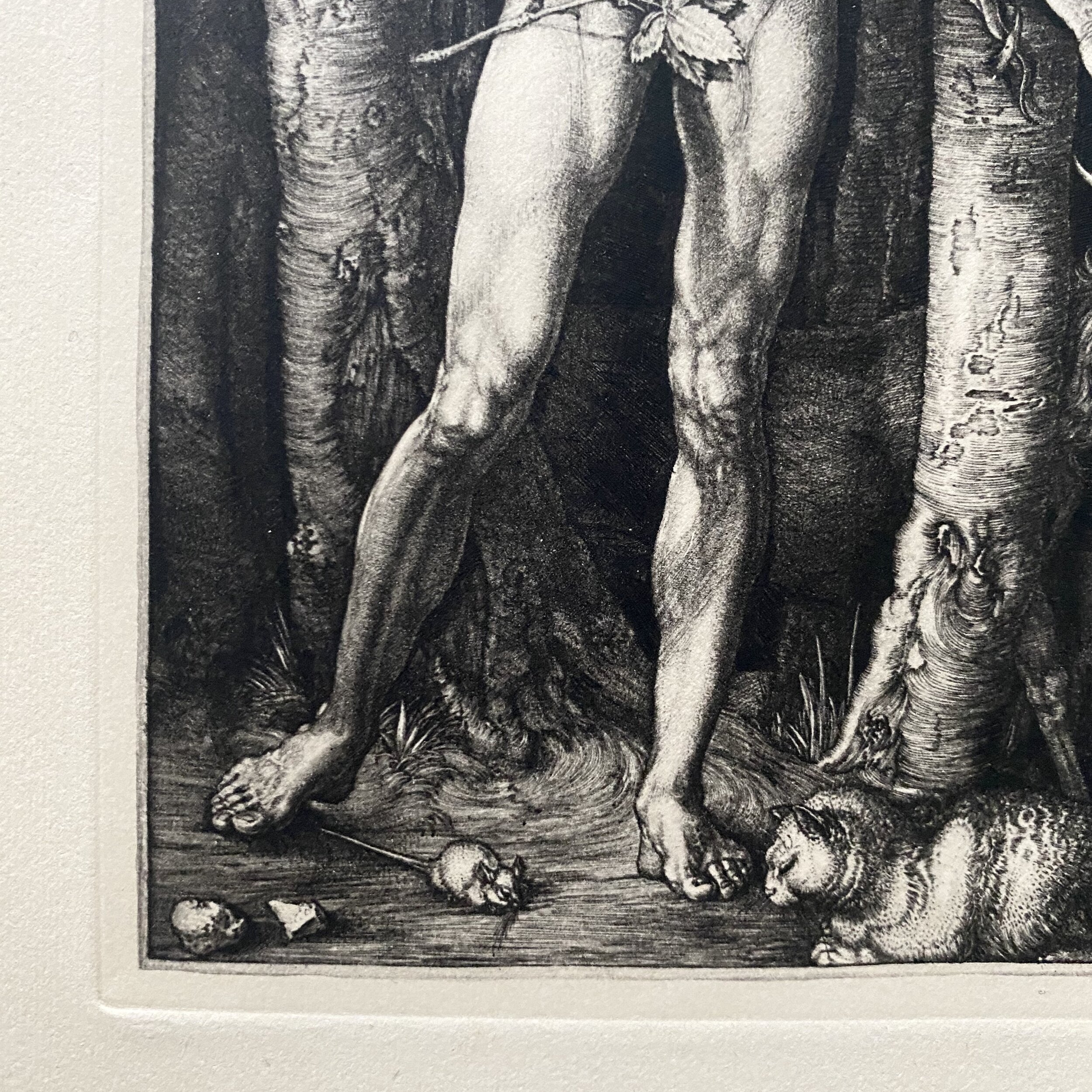 Albrecht Dürer Adam and Eve Late 19th Century Engraving (Framed)
