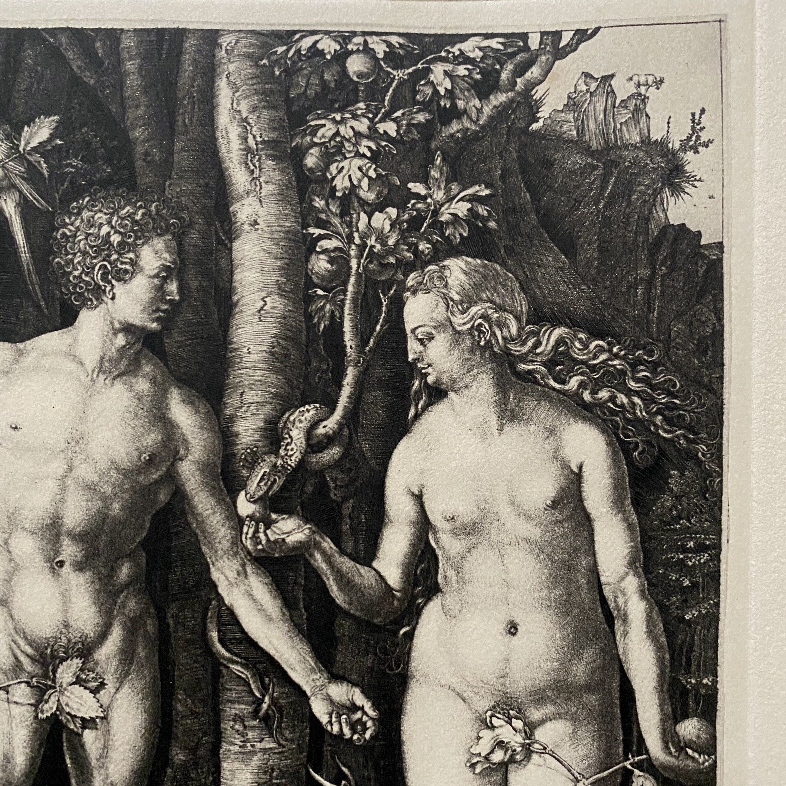 Albrecht Dürer Adam and Eve Late 19th Century Engraving (Framed)