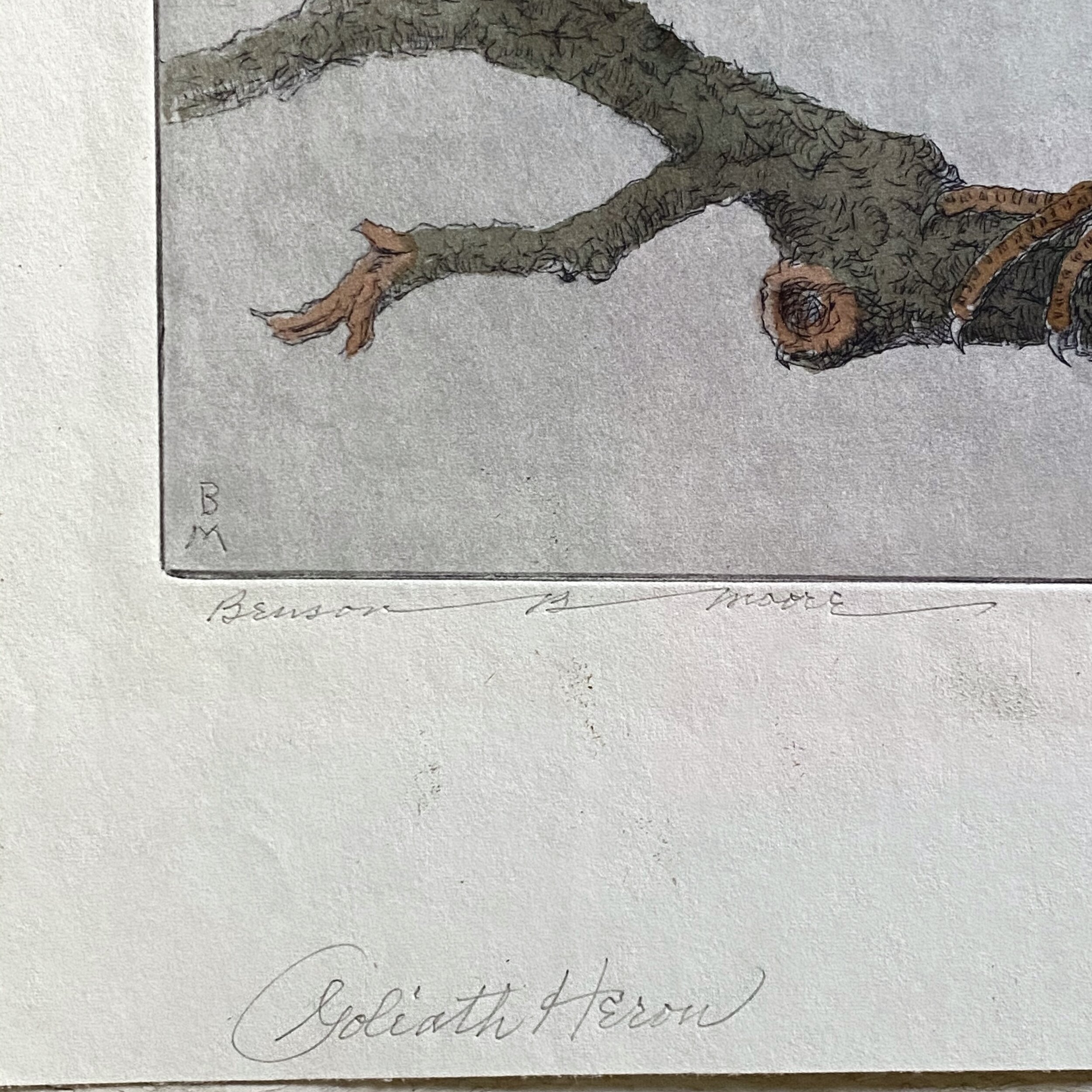 Benjamin B. Moore - Signed Hand Painted Etching of Goliath Heron