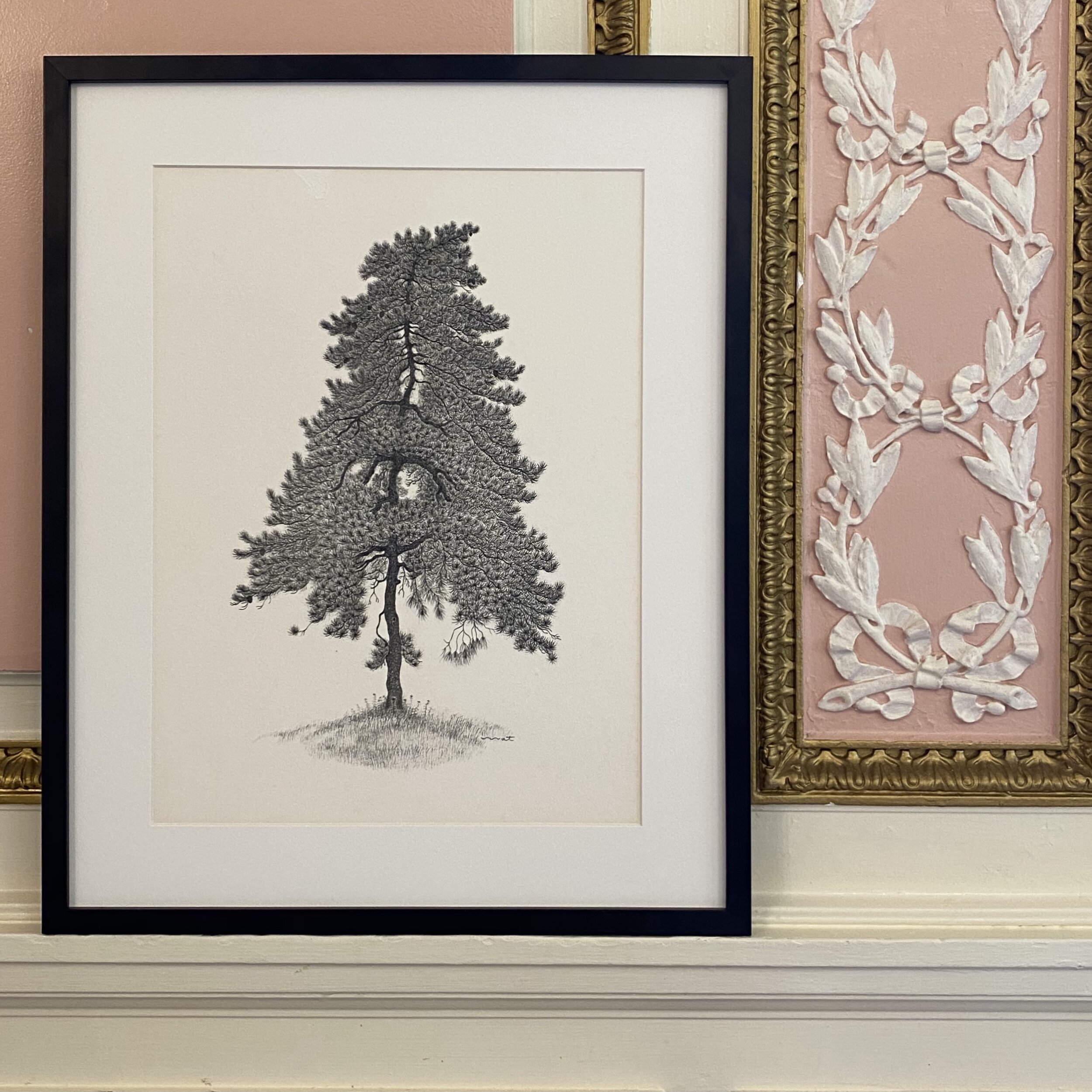 Vintage Lithograph of Pine Tree Drawing (Signed and Framed)