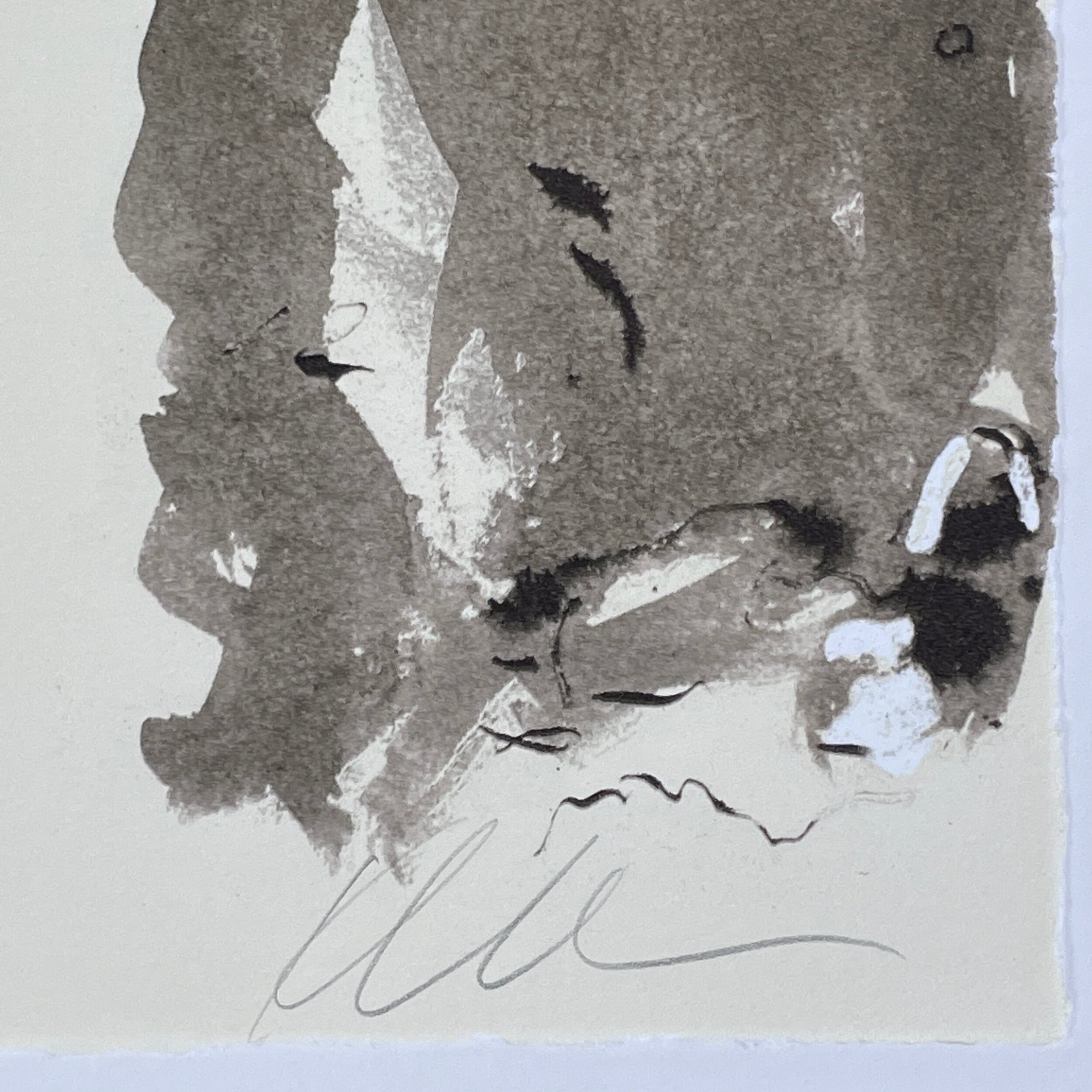 Kara Walker - Untitled Lithograph, from the series The Gross Clinician Presents: Pater Gravidam, Signed (2018)