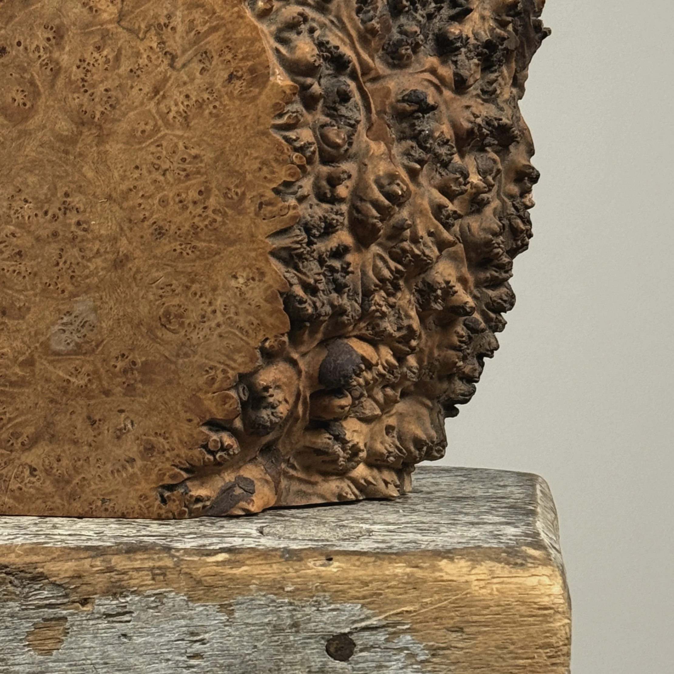 Burl pin detail, live edge side of Michael Elkan box