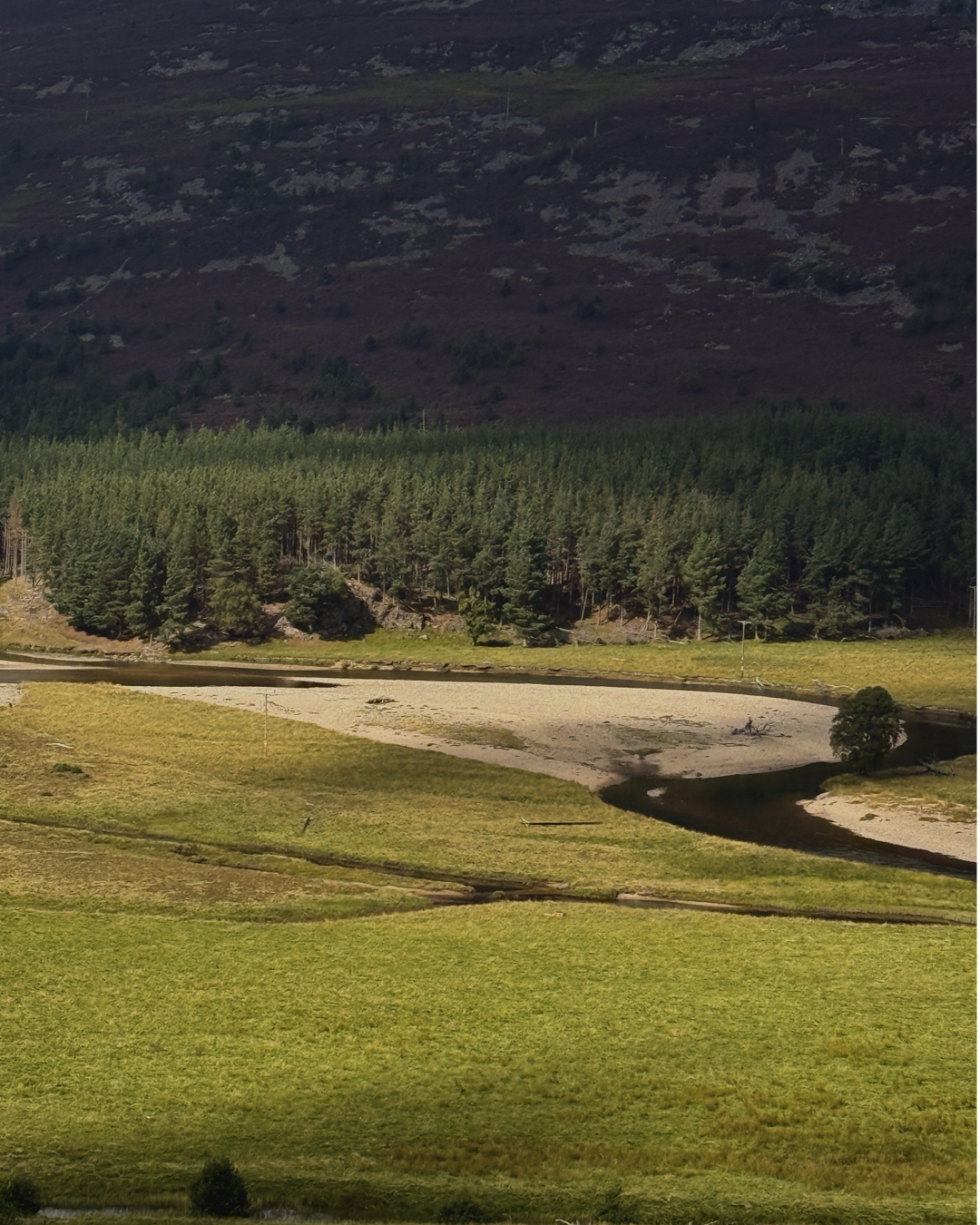 A Day in The Highlands