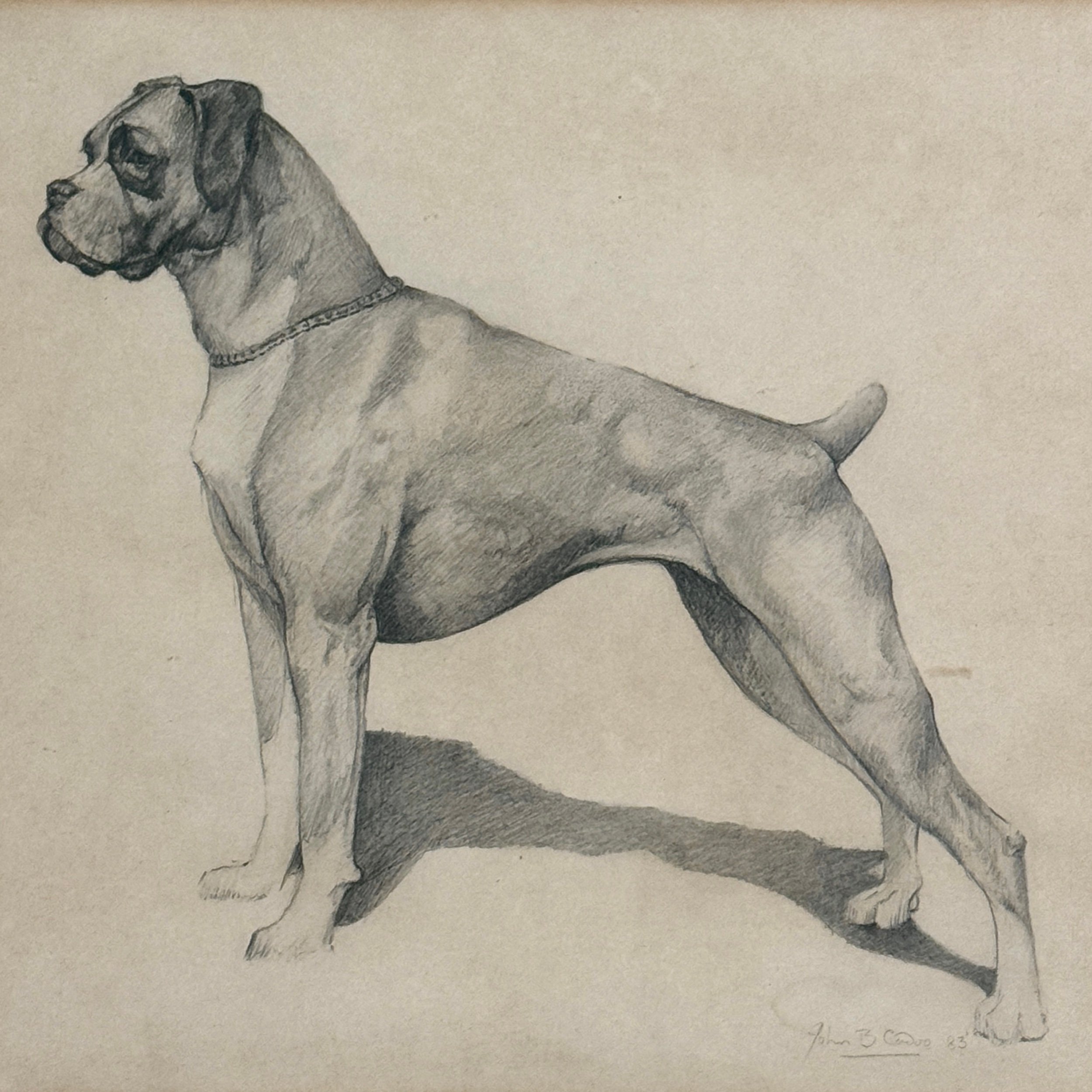 Vintage realist Boxer dog profile study, graphite on paper, signed