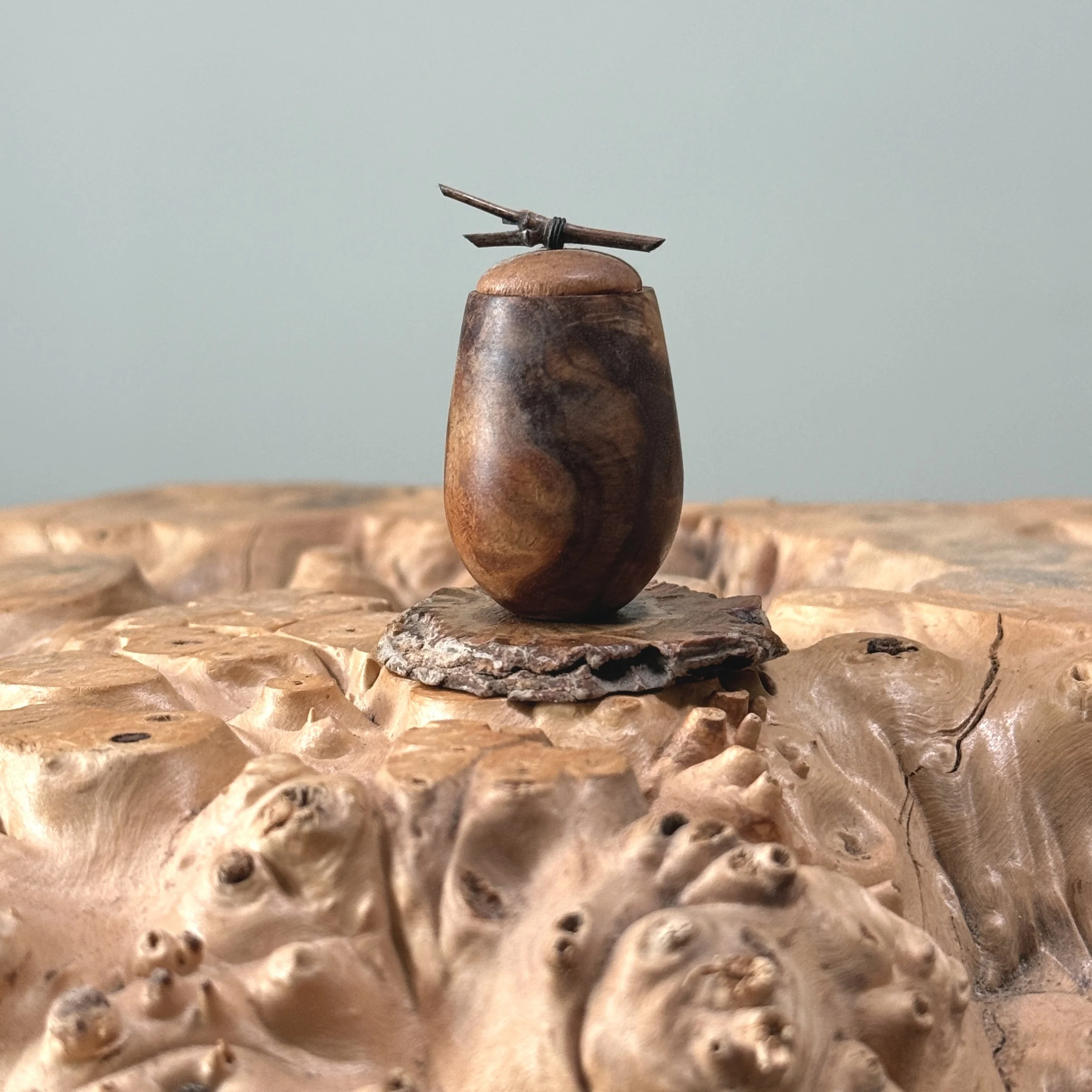 Vintage hand turned walnut miniature lidded vessel on live edge stand. White background.