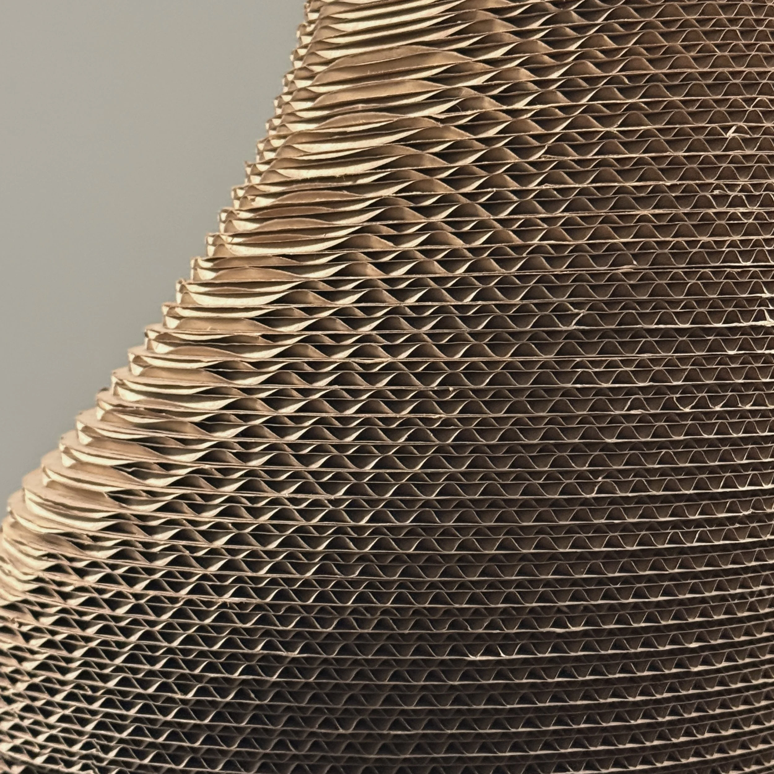 Lightweight cardboard sculpture, rods and base, biomorphic form